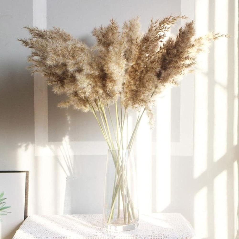 Künstliche Zimmerpflanze Natürlich Jormftte getrocknetes Getrocknete Pampasgras Blumen
