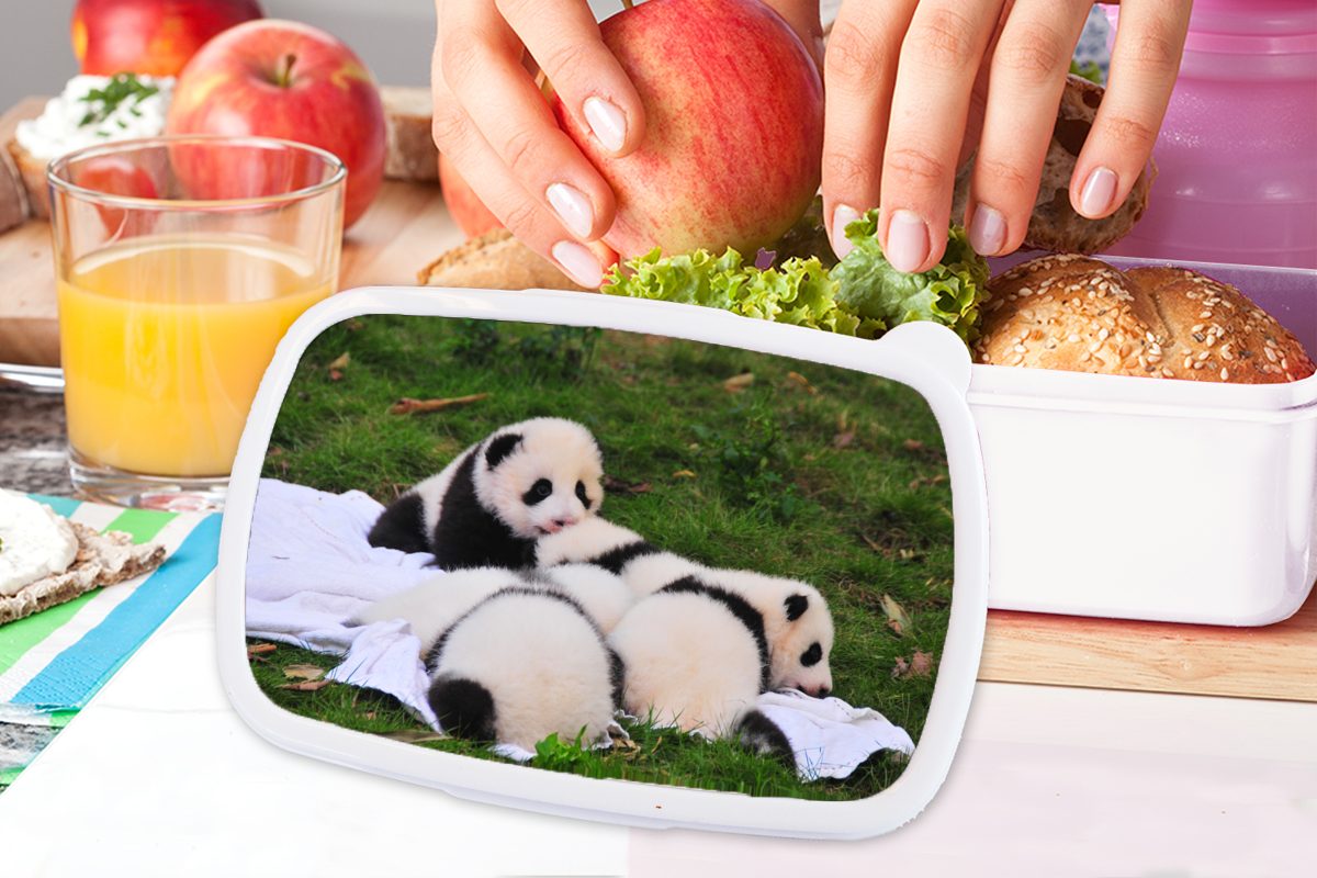 Decke, - MuchoWow - Mädchen und Pandas weiß Jungs Lunchbox Kunststoff, und für Kinder Brotbox Brotdose, für Erwachsene, Gras (2-tlg),