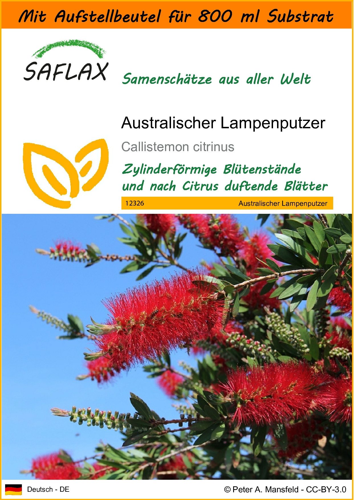 SAFLAX Blumensamen SAFLAX - Garden in günstig online kaufen