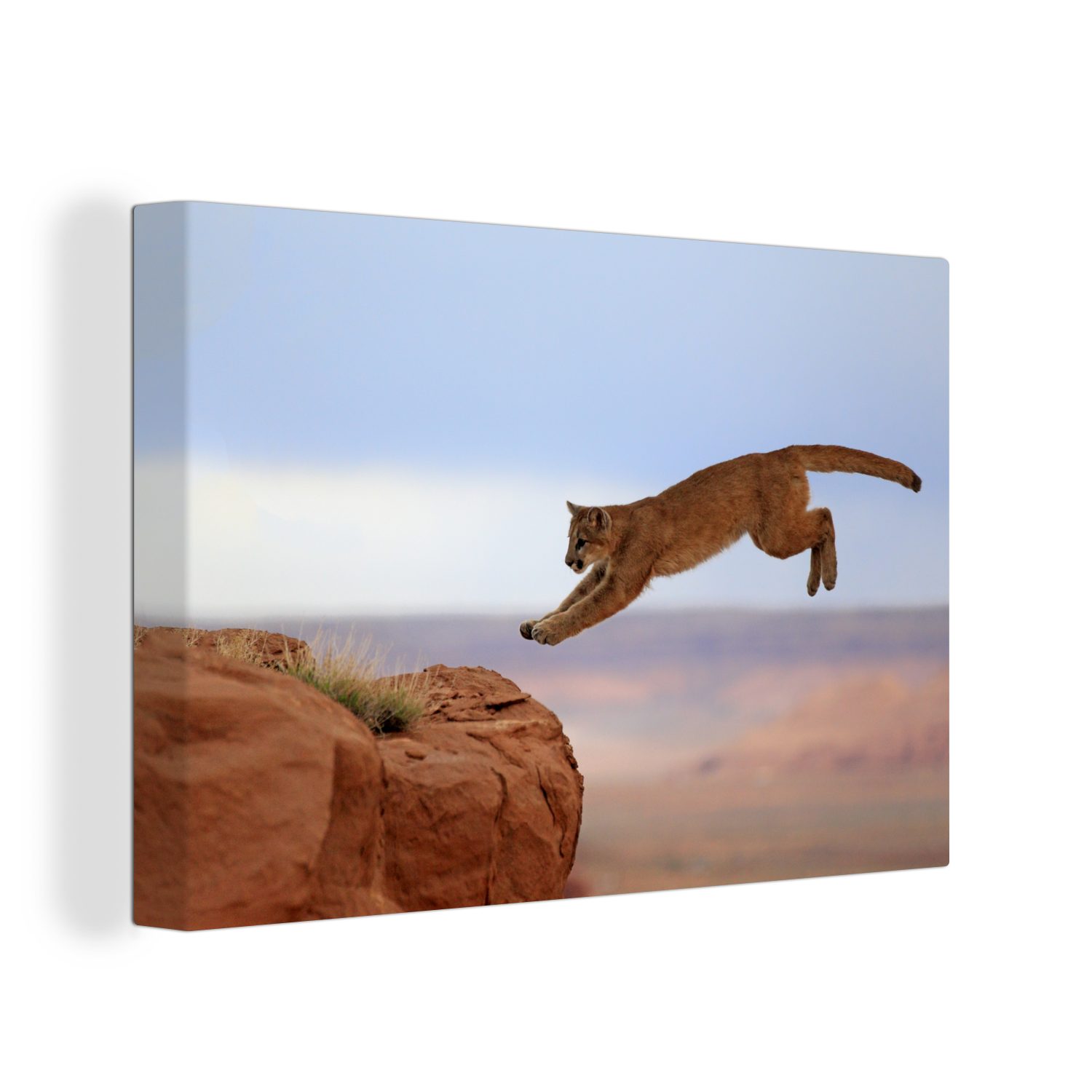 OneMillionCanvasses® Leinwandbild Puma in den Bergen, (1 St), Wandbild Leinwandbilder, Aufhängefertig, Wanddeko, 30x20 cm