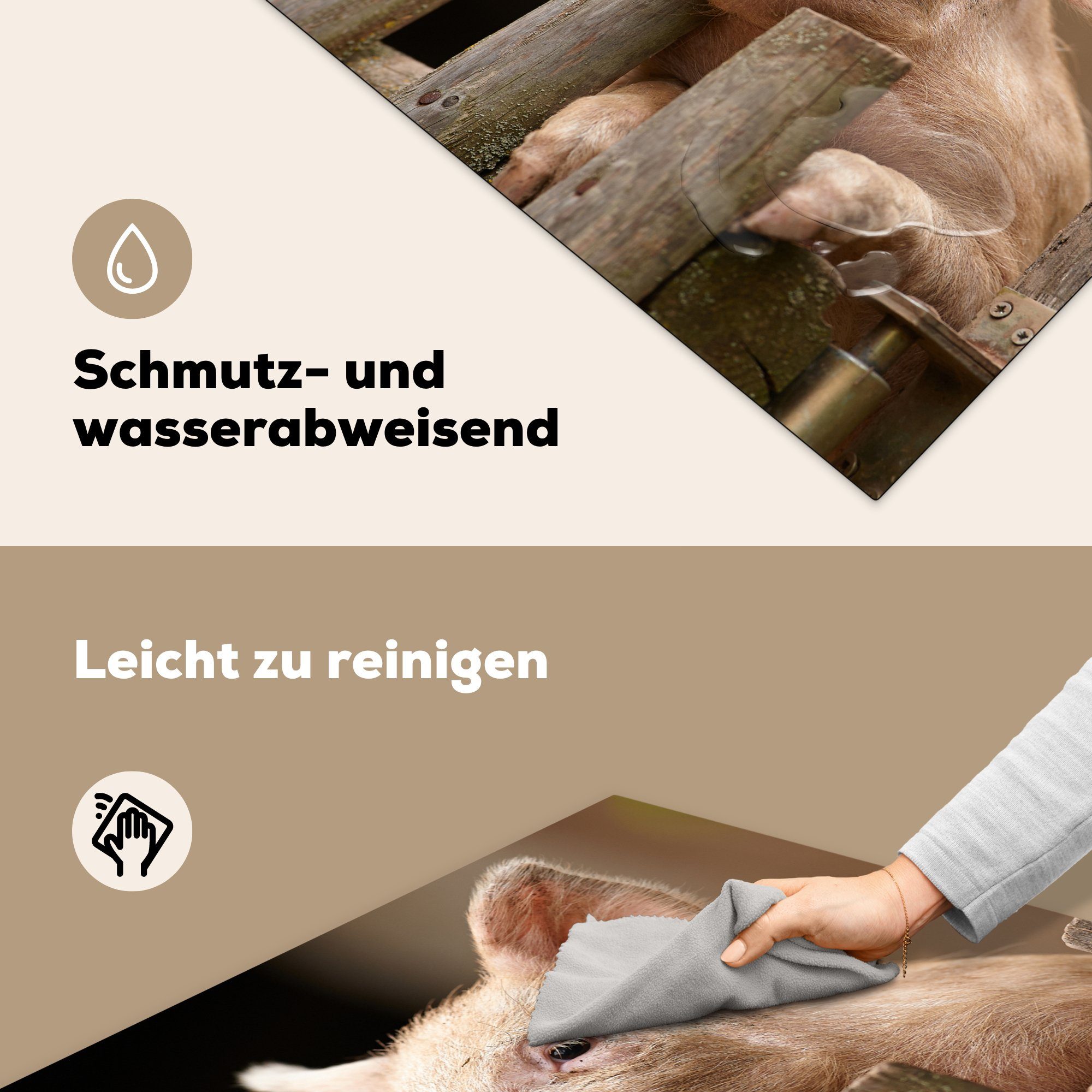 MuchoWow Herdblende-/Abdeckplatte Schwein - tlg), für Zaun, küche - (1 cm, 78x78 Tier Ceranfeldabdeckung, Vinyl, Arbeitsplatte