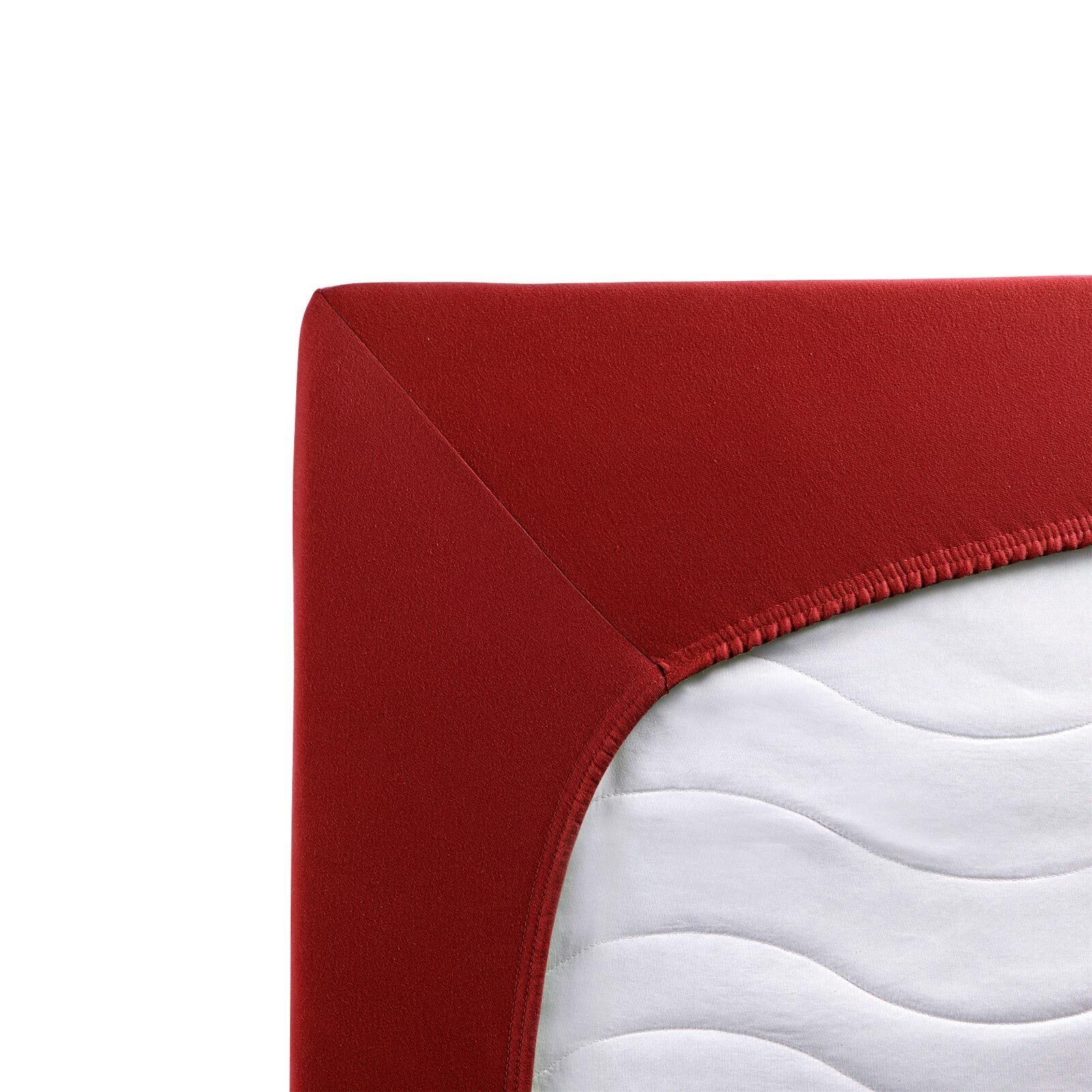 TRAUMSCHLAF Spannbettlaken Premium Interlock, Jersey, Gummizug: Rundumgummi günstig online kaufen