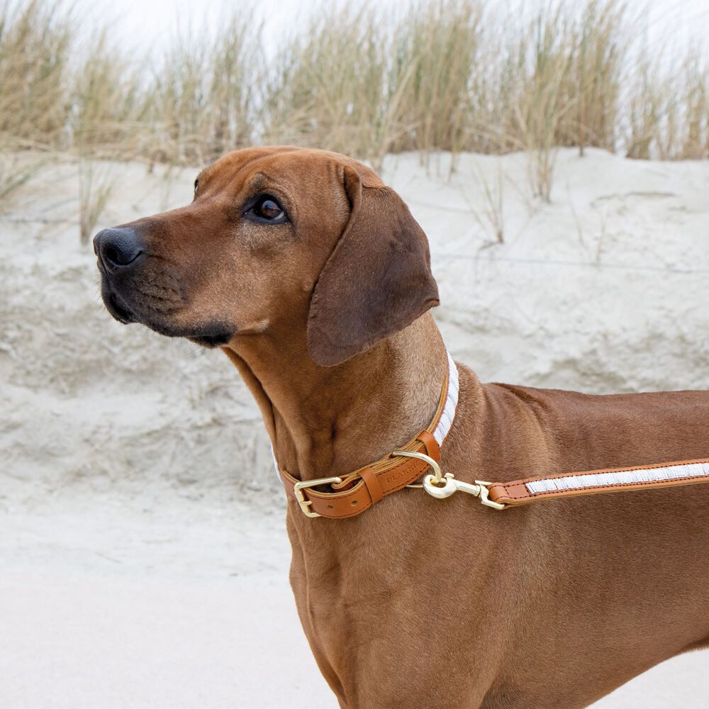 Plakkies Hunde-Halsband Plakkies Hunde Lederhalsband - Hundehalsband, Echtleder, Liebevolle Handarbeit in Afrika
