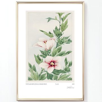 homestyle-accessoires Poster Bilder Wandbilder Kunstdrucke VINTAGE FLOWERS 6er Set Prints, Ohne Bilderrahmen