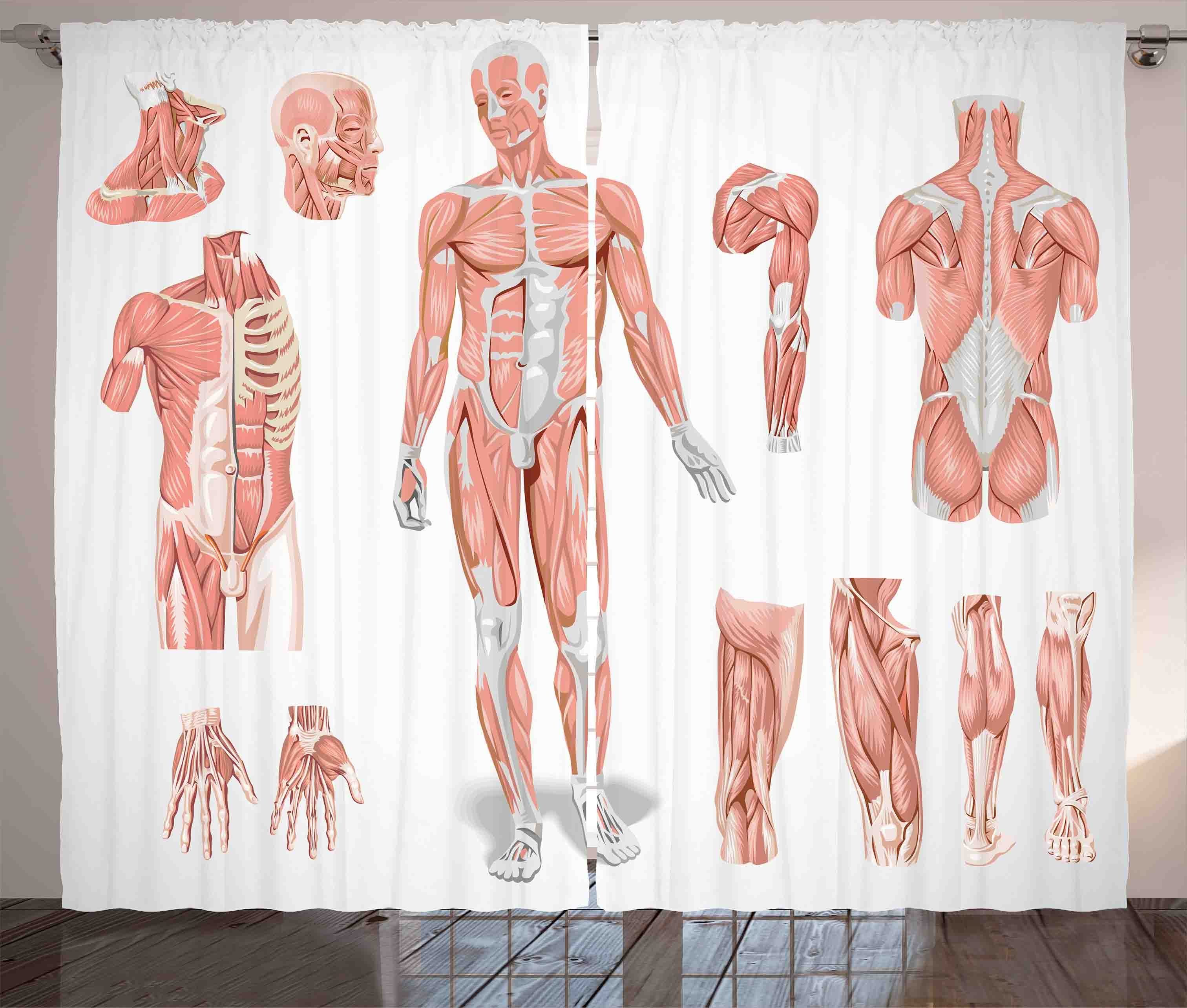 Gardine Schlafzimmer Menschen Schlaufen und Haken, der Anatomie Biologie Vorhang mit Kräuselband Gesundheit Abakuhaus