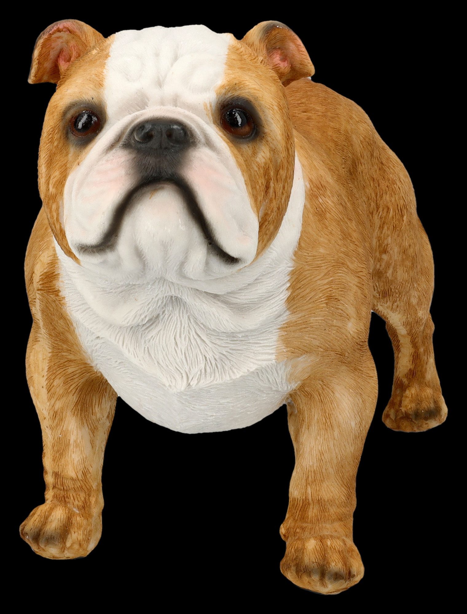 Figuren Shop GmbH Tierfigur Bulldoggen Figur Welpe – handbemalte Kunststein Skulptur 16 cm Deko