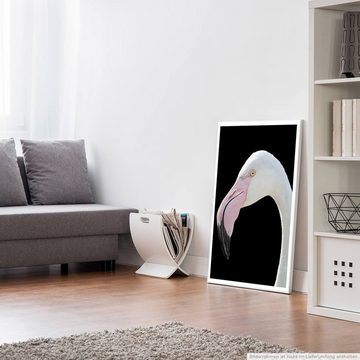 Sinus Art Poster Tierfotografie 60x90cm Poster Nahporträt eines weißen Flamingo