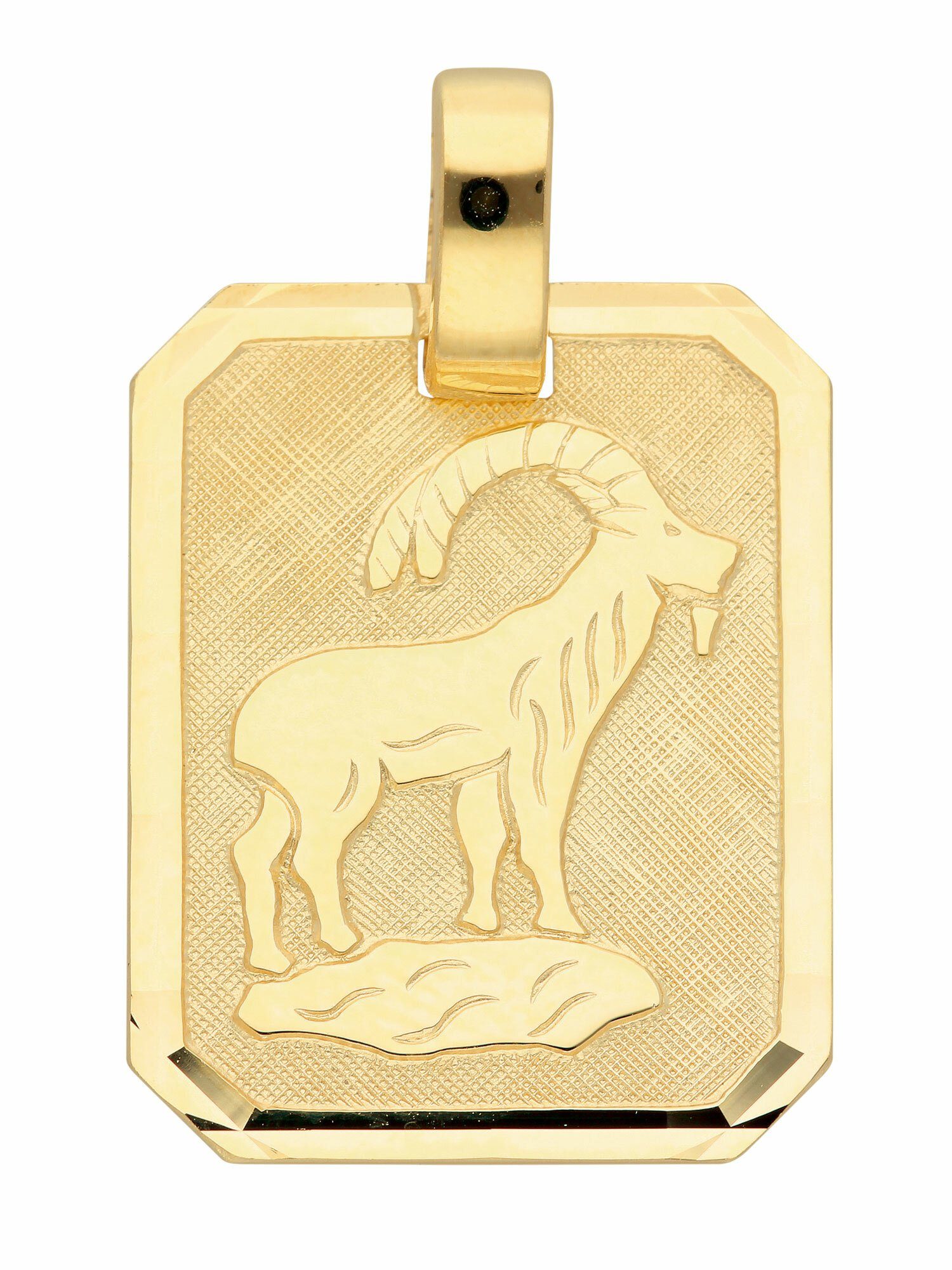 Adelia´s Kettenanhänger 333 Gold Sternzeichen Anhänger Steinbock, Goldschmuck für Damen & Herren