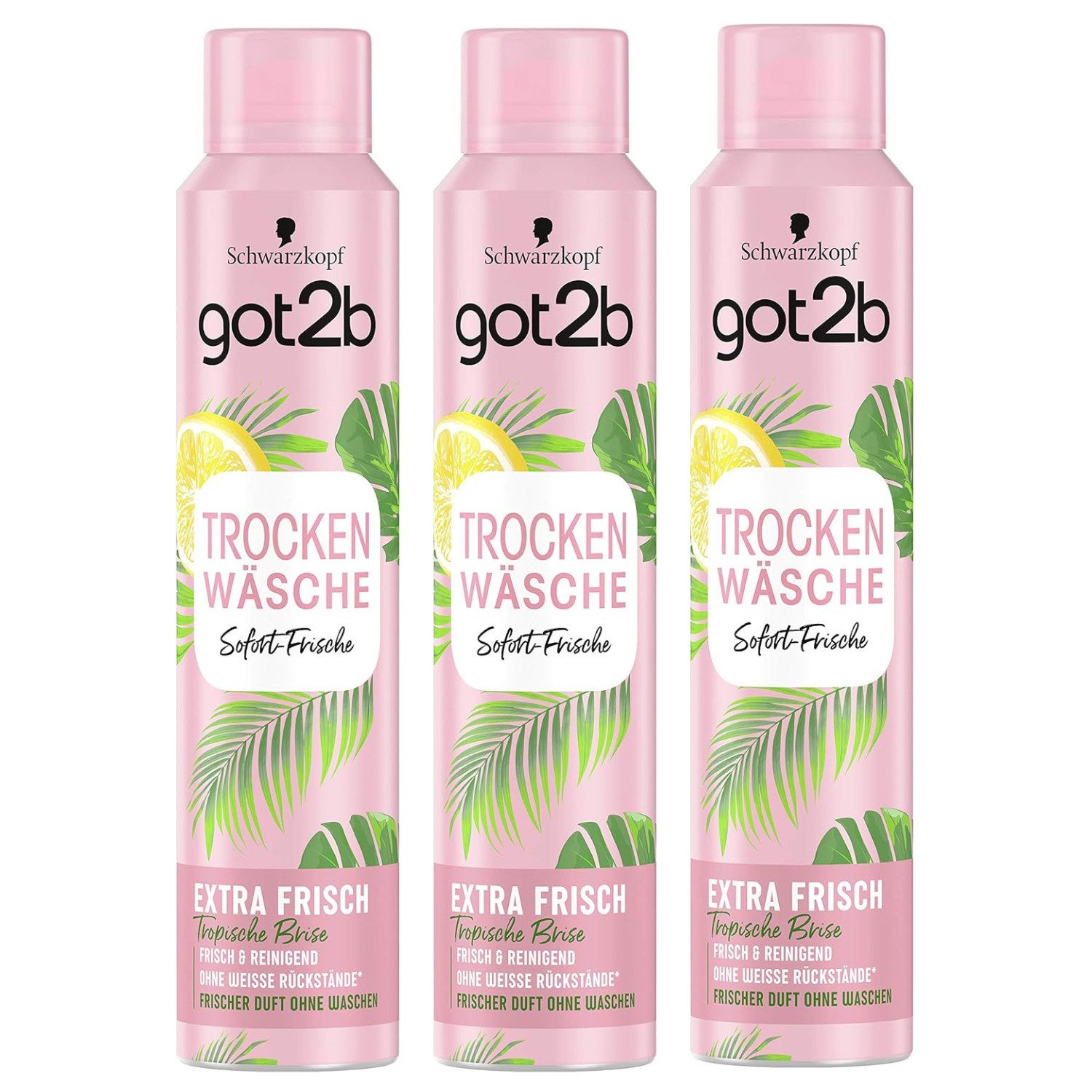 got2b Haarshampoo 3x Schwarzkopf got2b Trockenshampo Trocken Wäsche 200ml Dry Shampoo mi