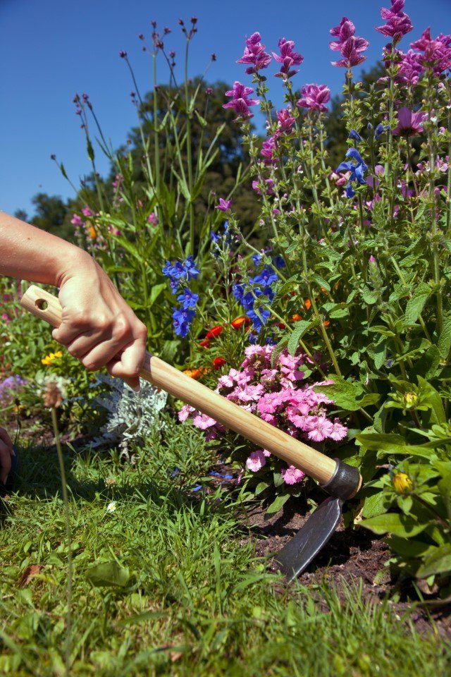 Krumpholz Gartenpflege-Set Krumpholz Handhacke, Regensburger Form, mit Eschen-Kuhfußstiel (48 cm)
