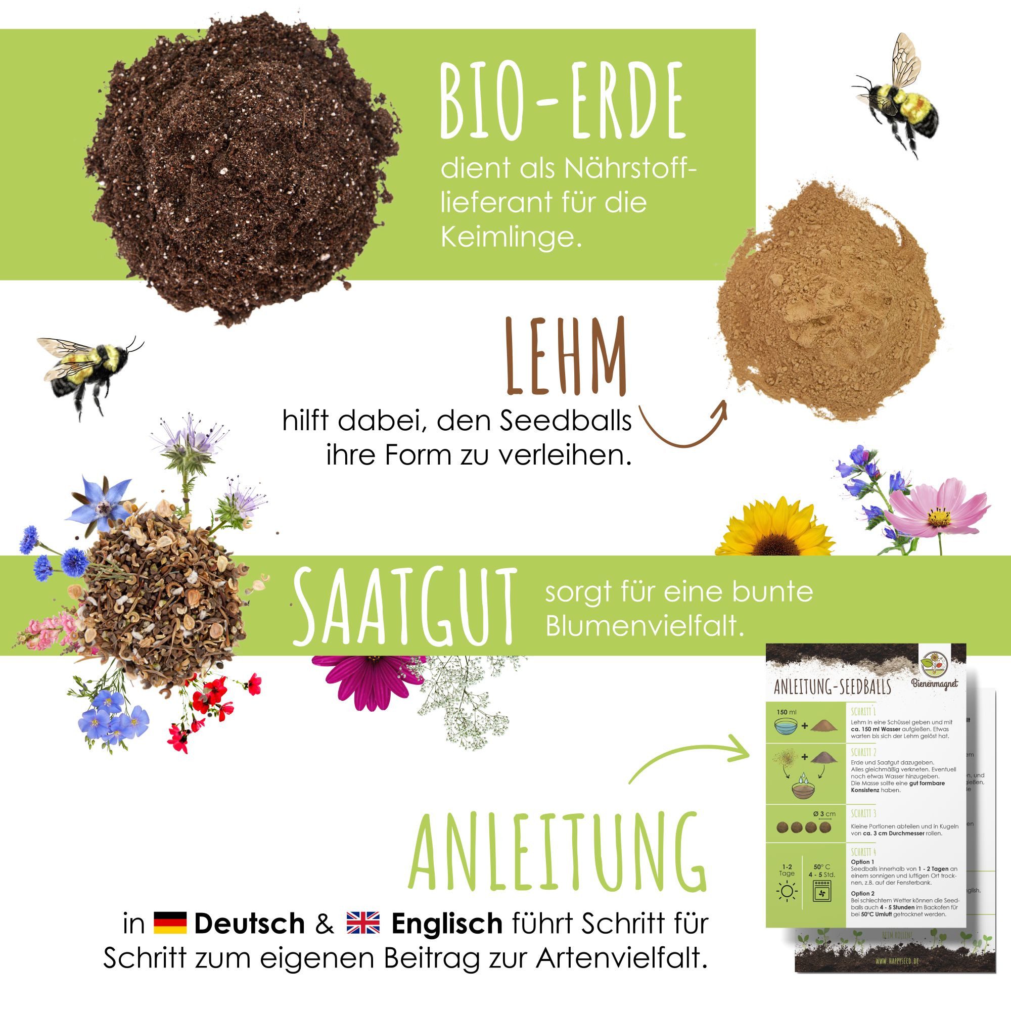 Bienenmagnet Blumensamen Samenbomben selber machen (Bienenweide) günstig online kaufen
