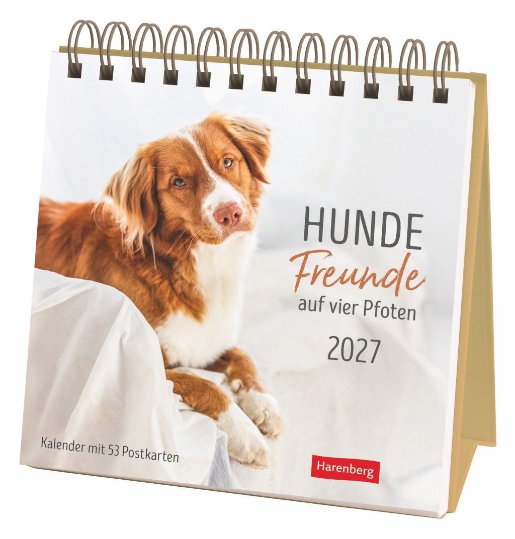 Terminplaner Hunde Premium-Postkartenkalender 2027 - Freunde auf vier Pfoten; Kalen