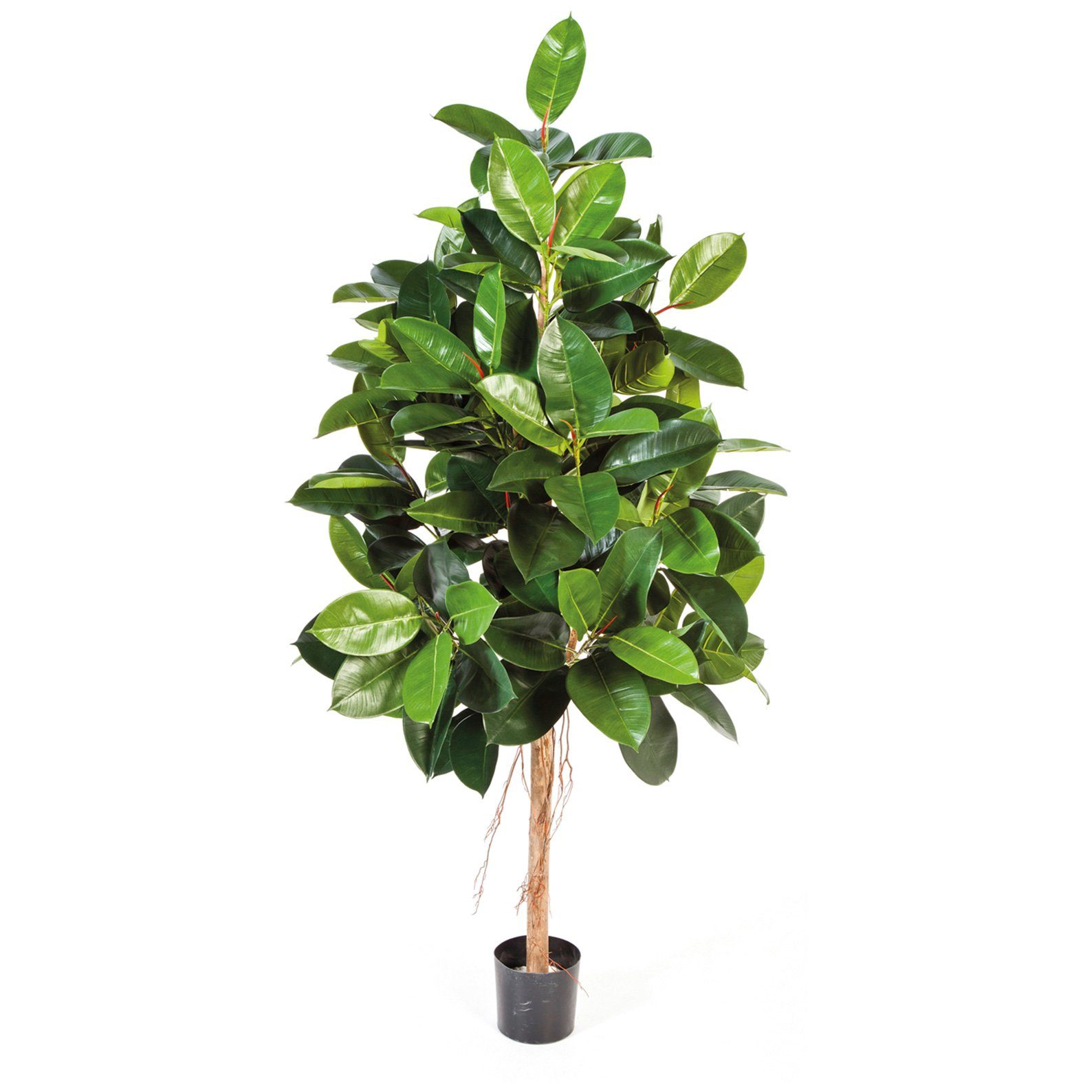 Kunstpflanze Ficus Elastica Kunstpflanze, 180 cm, L: 60 B: 60 Ficus Elastica, fleur ami, Höhe 180 cm Grün