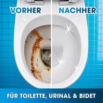 bideo WC-Intensivschaum 1,5 kg, Kraftschaum bis unter den Rand, WC-Reiniger (Löst zuverlässig Kalkablagerungen und Urinstein)