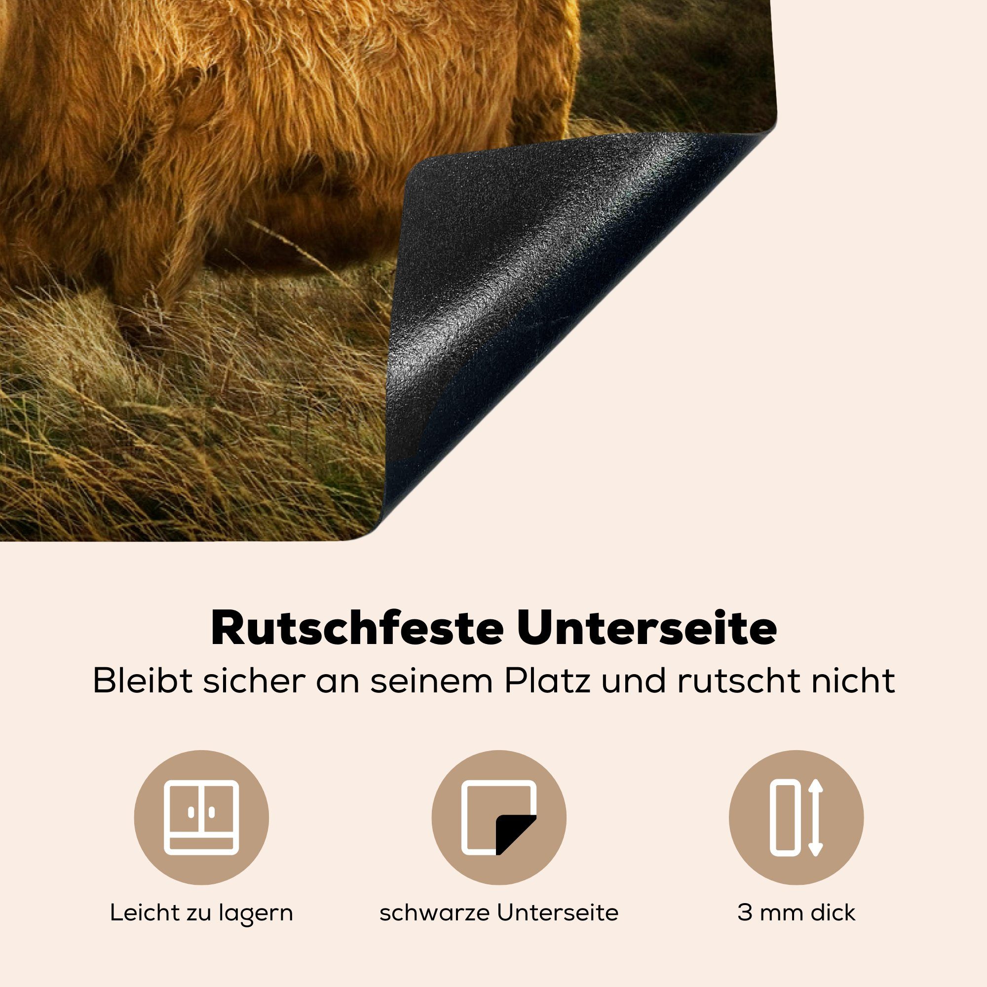 81x52 Herdblende-/Abdeckplatte für Vinyl, küche, Induktionskochfeld Highlander (1 Ceranfeldabdeckung - Schutz MuchoWow Bauernhof, - die Natur tlg), cm, Schottische