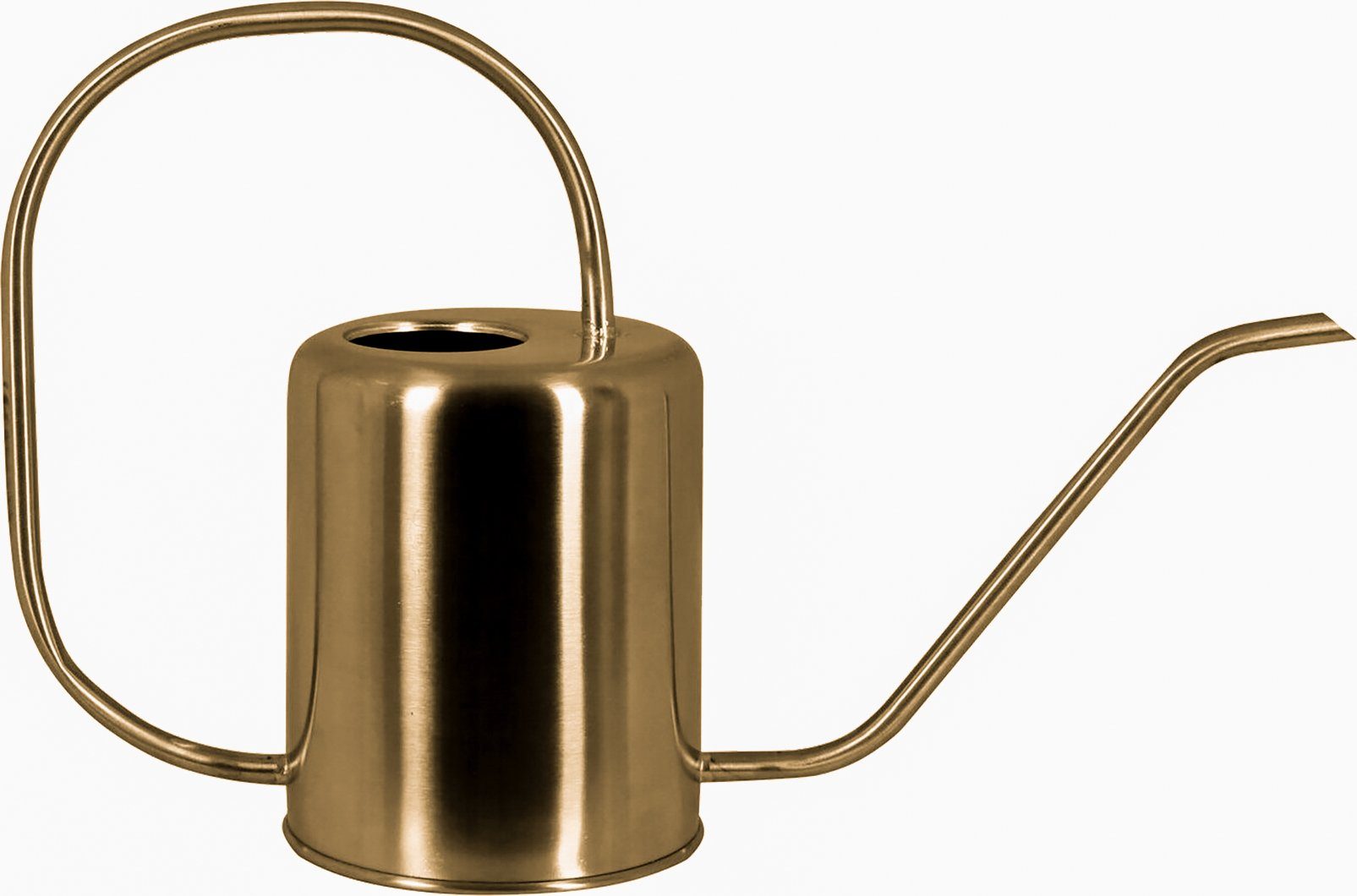 tegawo Gießkanne Edelstahl matt lackiert, edles Design, rund, 1,5 Liter