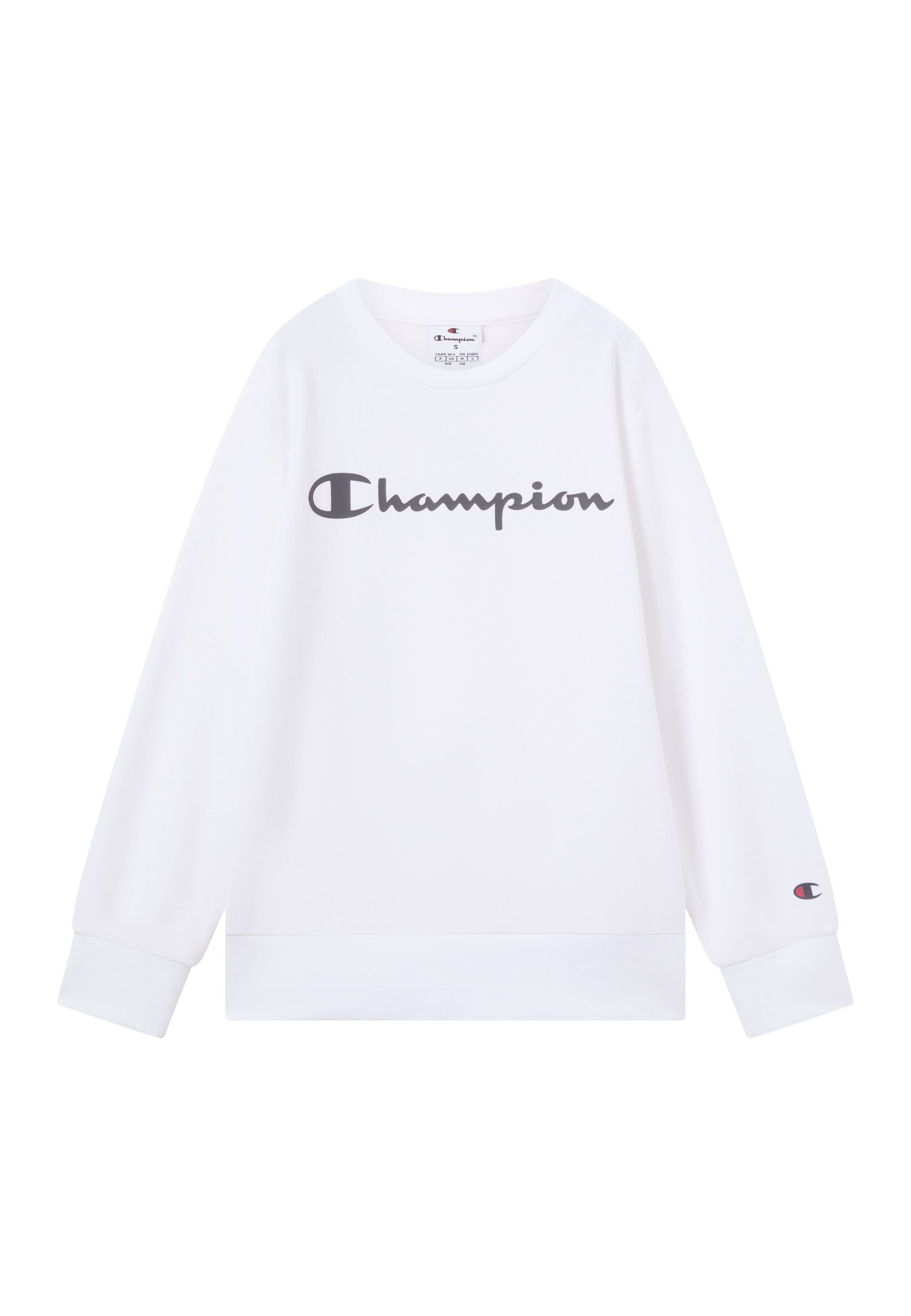 Sweatshirt SPORTWEAR CREWNECK Standard Fit