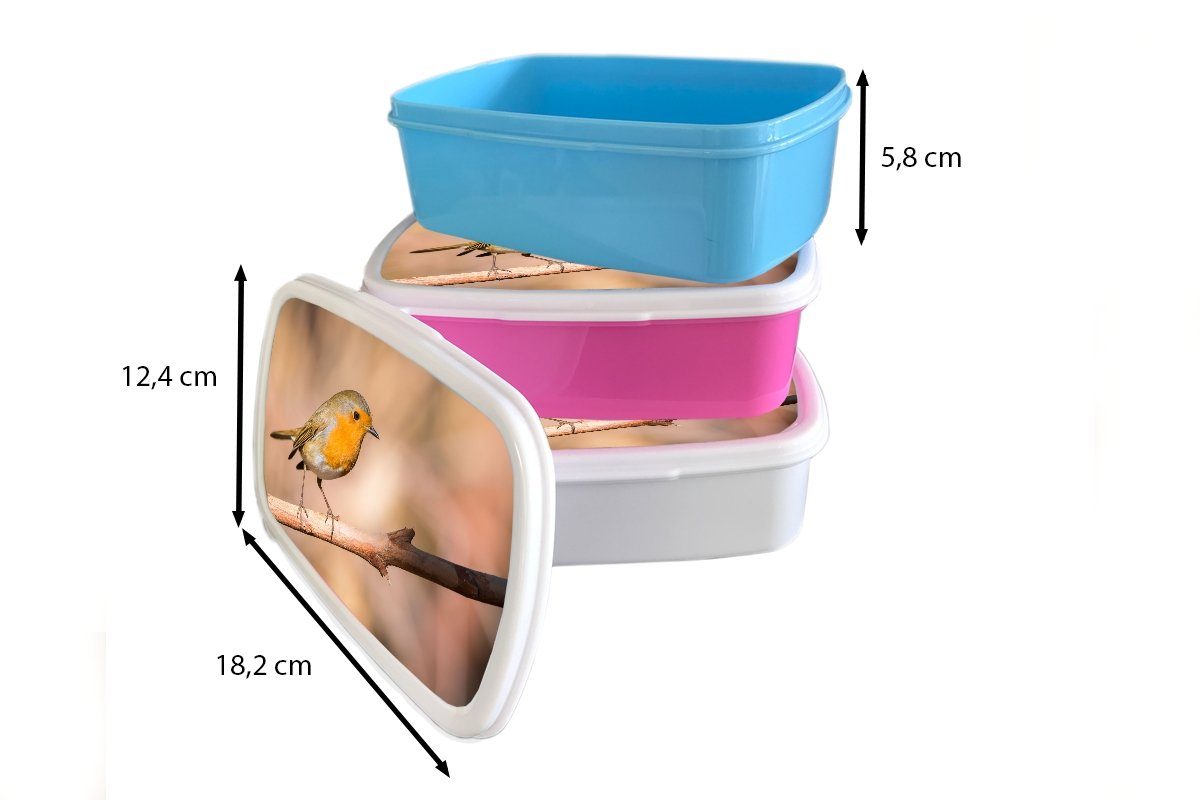 Kunststoff, (2-tlg), Brotbox weiß für Mädchen und und MuchoWow Zweig - - Jungs Erwachsene, Kinder Lunchbox Vogel für Brotdose, Rotkehlchen,