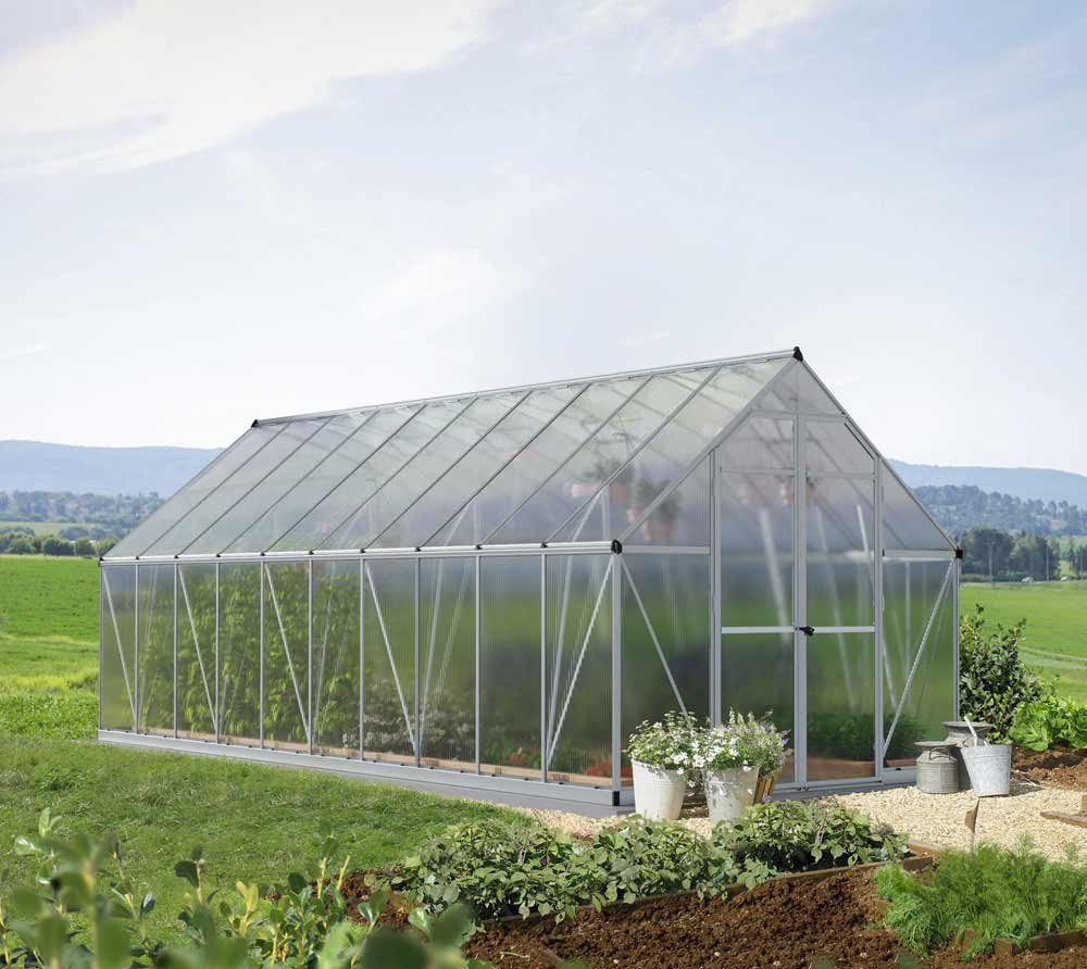 Palram - Canopia Gewächshaus, x 229  | ...