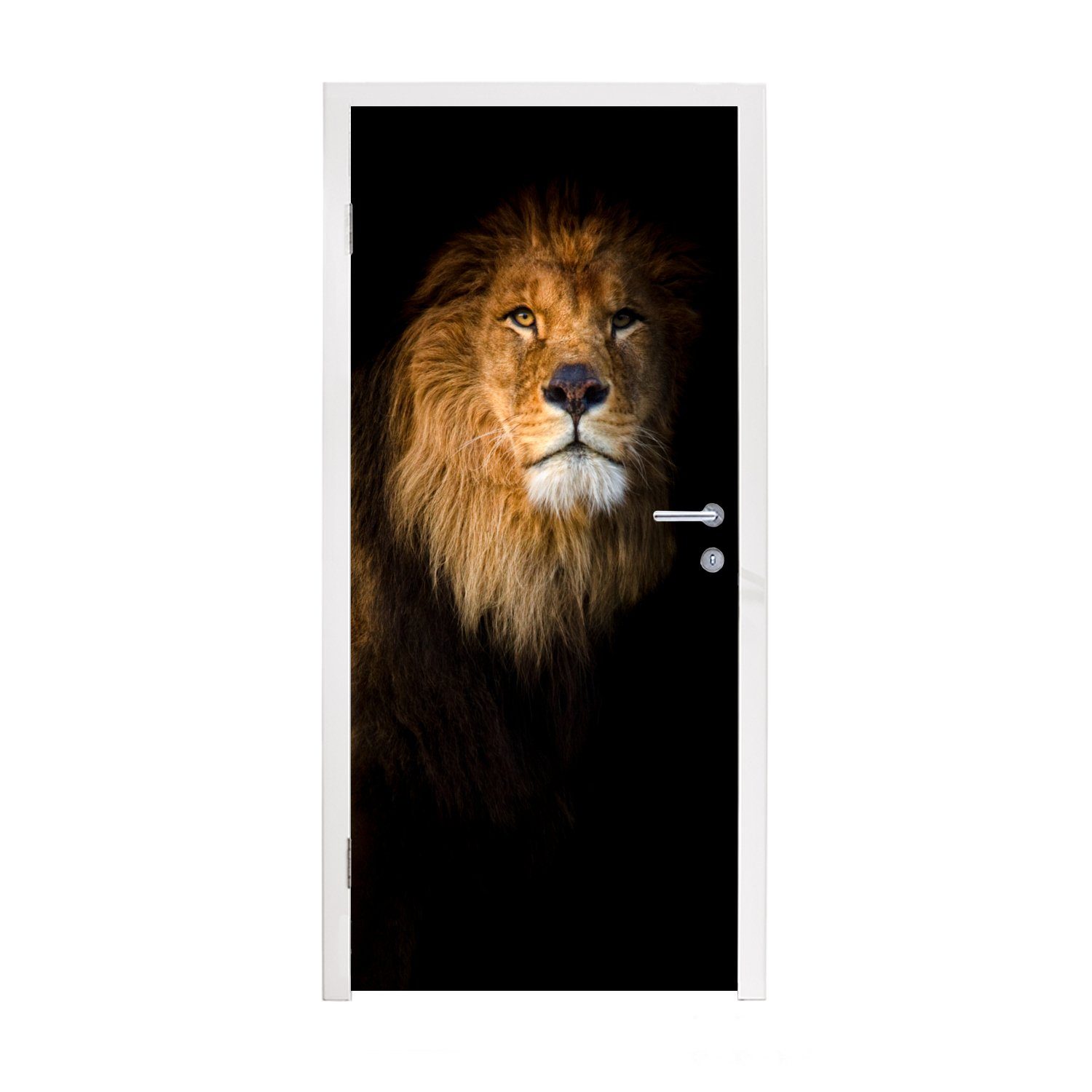 MuchoWow Türtapete Löwe - Licht - Schwarz - Porträt, Matt, bedruckt, (1 St), Fototapete für Tür, Türaufkleber, 75x205 cm