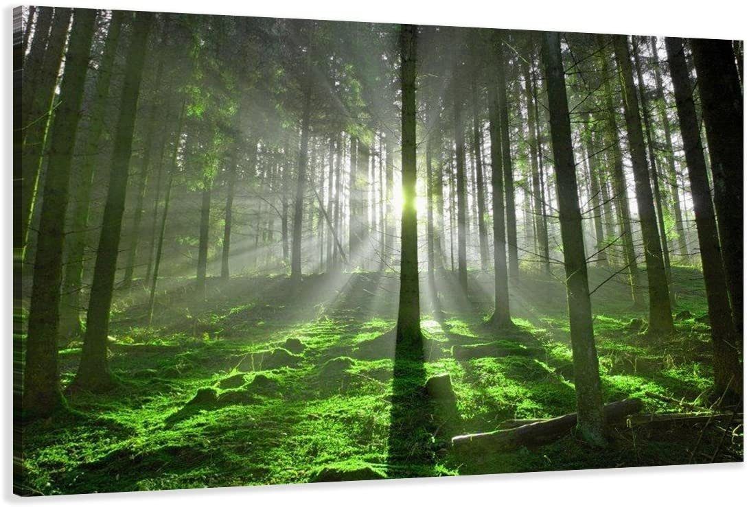 Visario Bild Bild auf Leinwand fertig günstig online kaufen