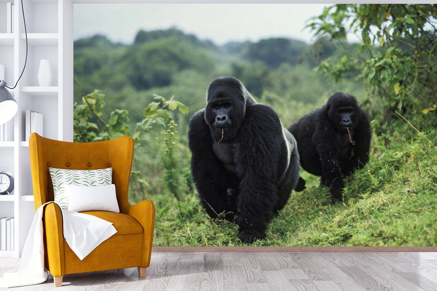 in Tapete St), gefärbte Matt, (6 Gorillas für Zwei einer Umgebung, Wohnzimmer, Schlafzimmer, MuchoWow Kinderzimmer, Vinyl Fototapete Wallpaper schwarz grünen bedruckt,