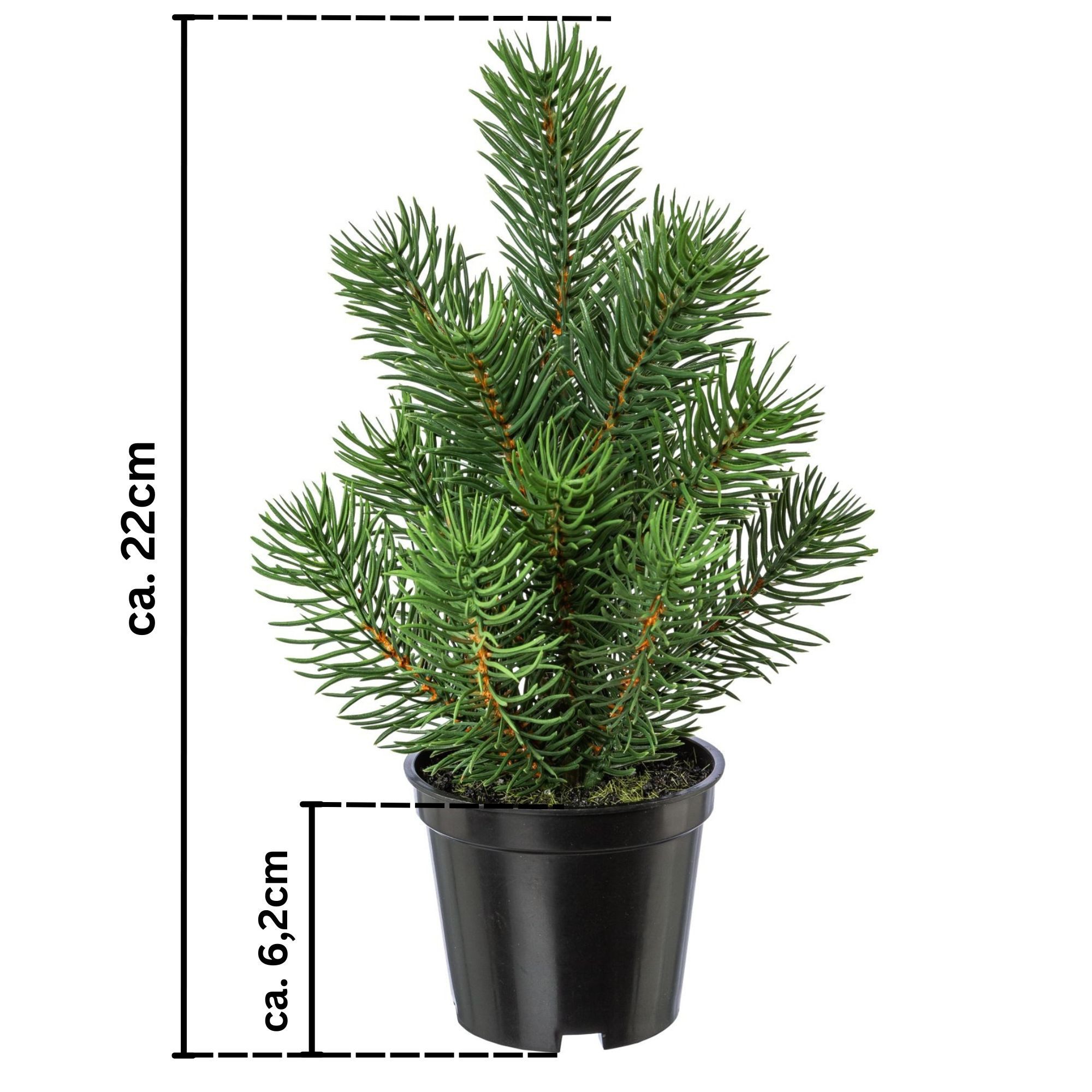 Kunstbaum Künstliches Tannenbäumchen im Topf, Tischdeko, Winterdeko, 22cm, günstig online kaufen