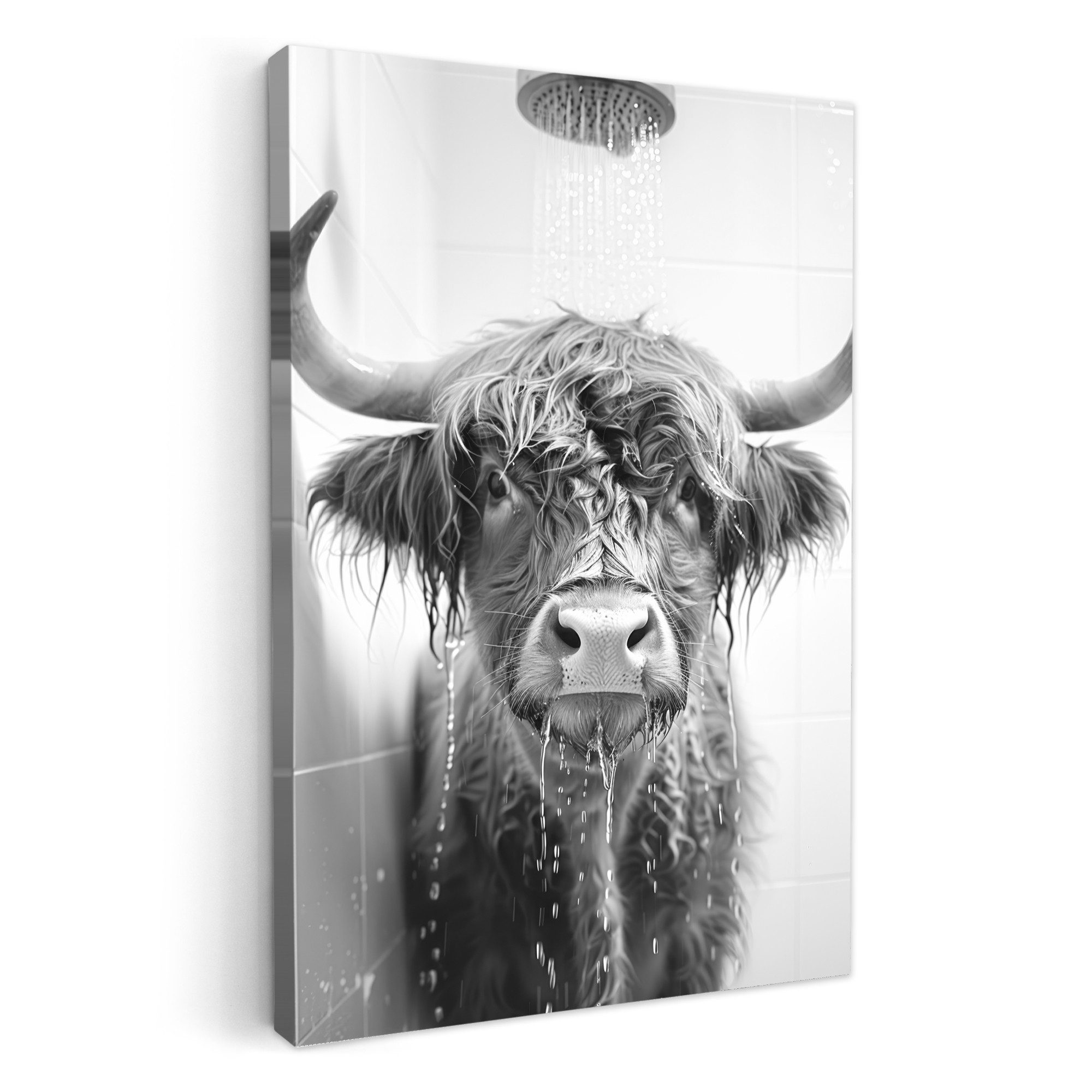 OneMillionCanvasses® Leinwandbild Schottischer Highlander - Tier - Dusche - günstig online kaufen