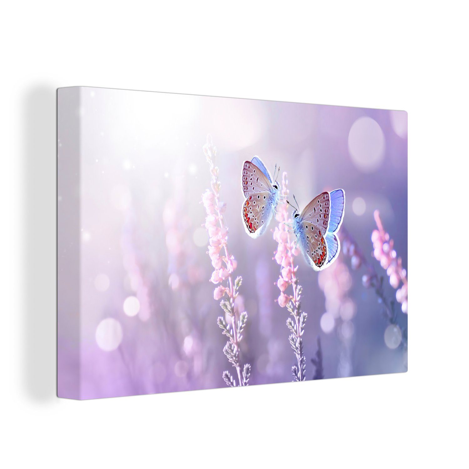 OneMillionCanvasses® Leinwandbild Schmetterling - Lavendel - Blumen - Lila, Fotodruck (1 St), Leinwand Bilder Klein, Wand Dekoration Aesthetic 30x20 cm