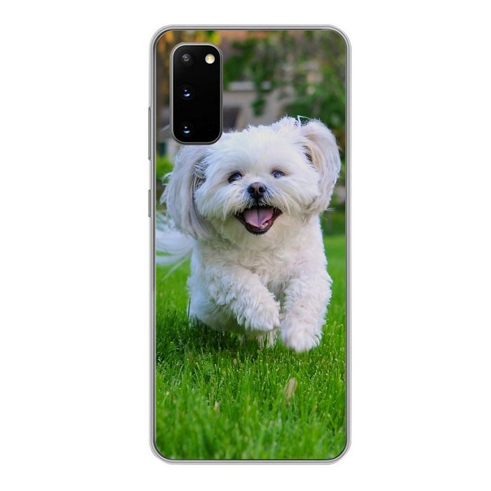 MuchoWow Handyhülle Ein Shih Tzu Hund läuft durch das grüne Gras Phone Case Handyhülle Samsung Galaxy S20 Silikon Schutzhülle