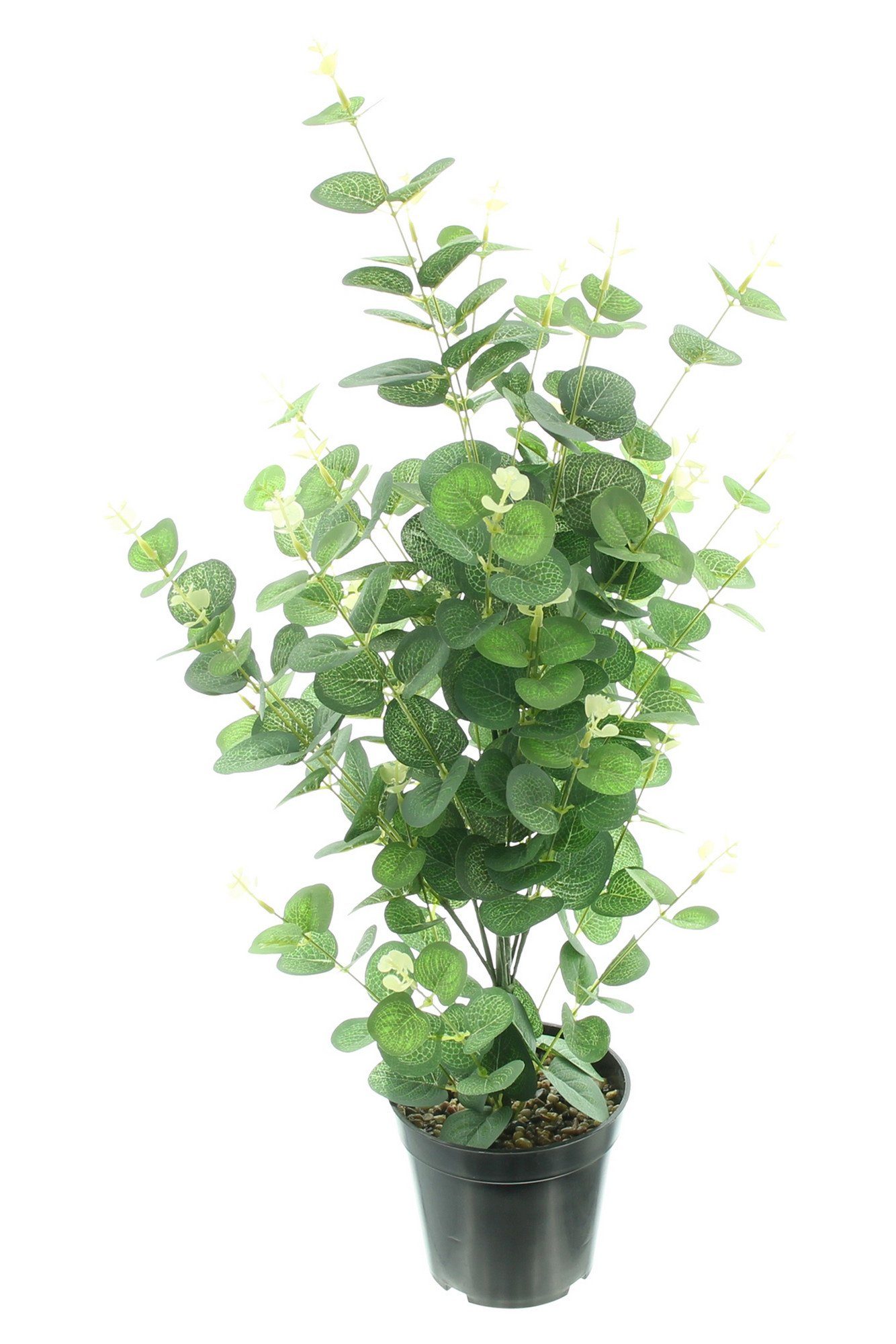 cm 65 HomeLiving, "Eukalyptus", Höhe Kunstpflanze