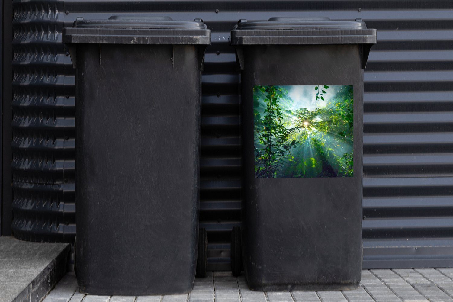 MuchoWow Wandsticker Die Wälder Mülleimer-aufkleber, Sticker, Sonne eines Abfalbehälter (1 Mülltonne, Container, scheint in die Malaysia Regenwaldes durch St)