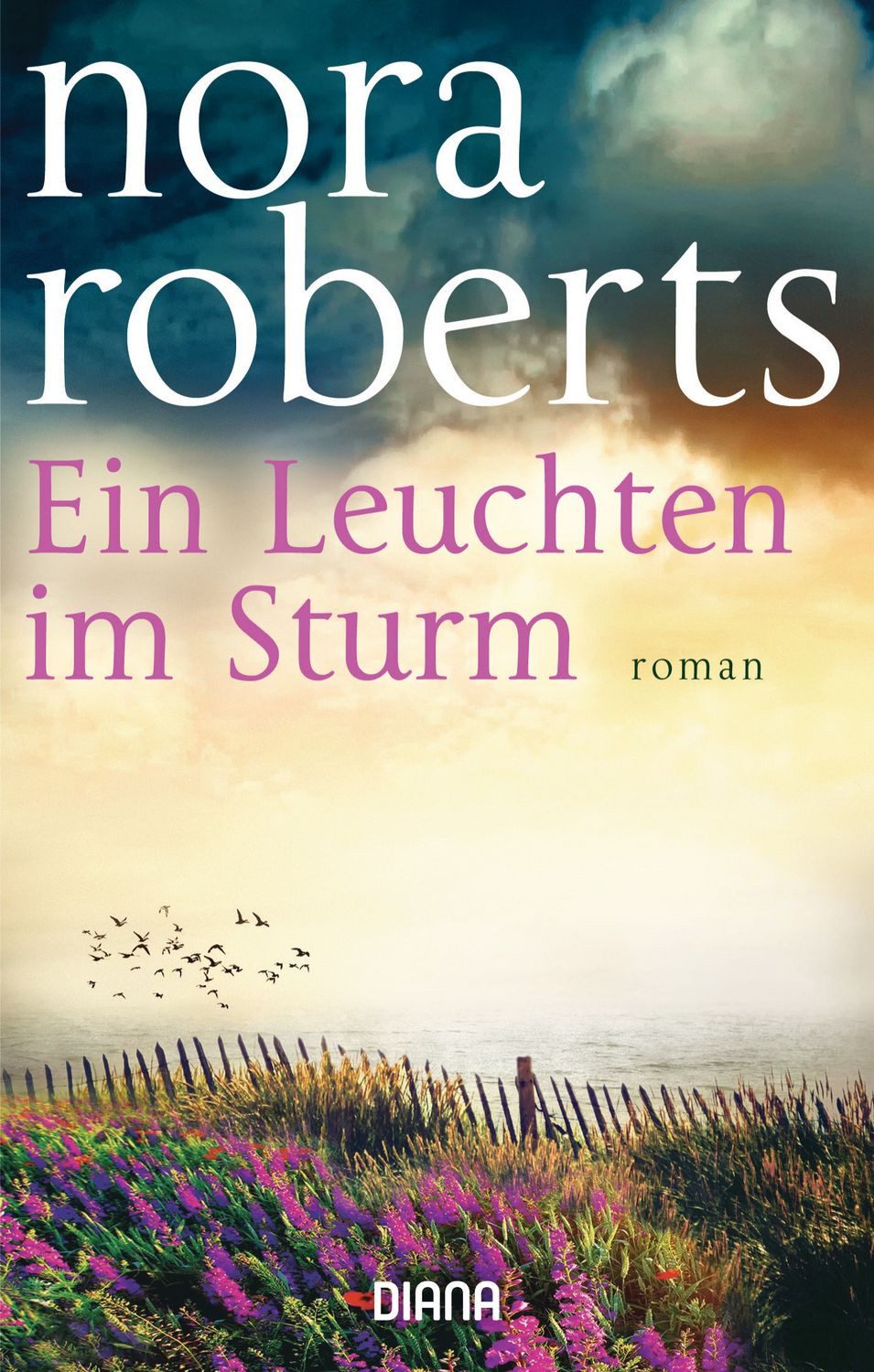 Ein Leuchten im Sturm / Nora Roberts