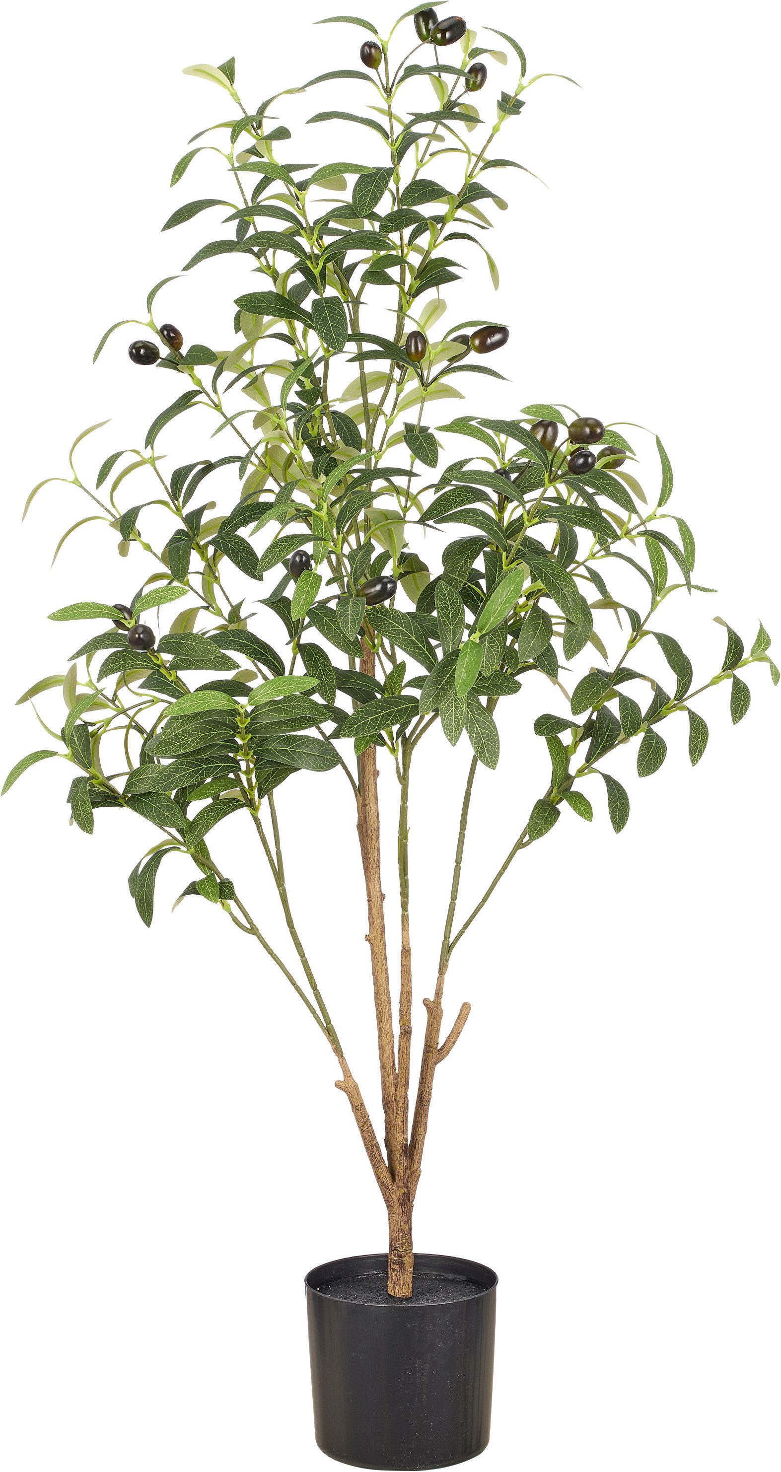 Kunstpflanze Olive, Creativ green, Höhe 90 cm, mit Deko-Früchten
