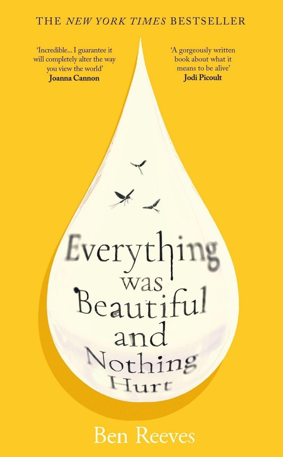 Everything was Beautiful and Nothing Hurt / Ben Reeves
