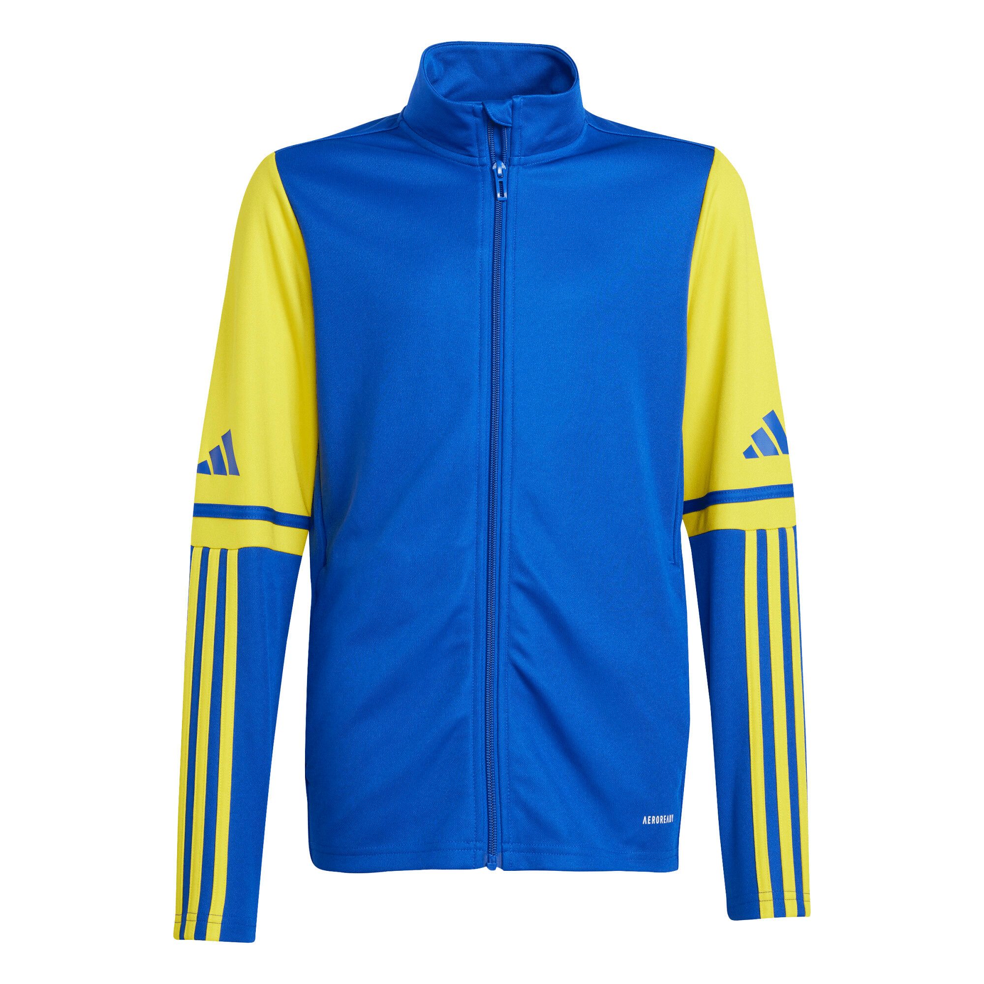 Team Royal Blue/Team Yellow