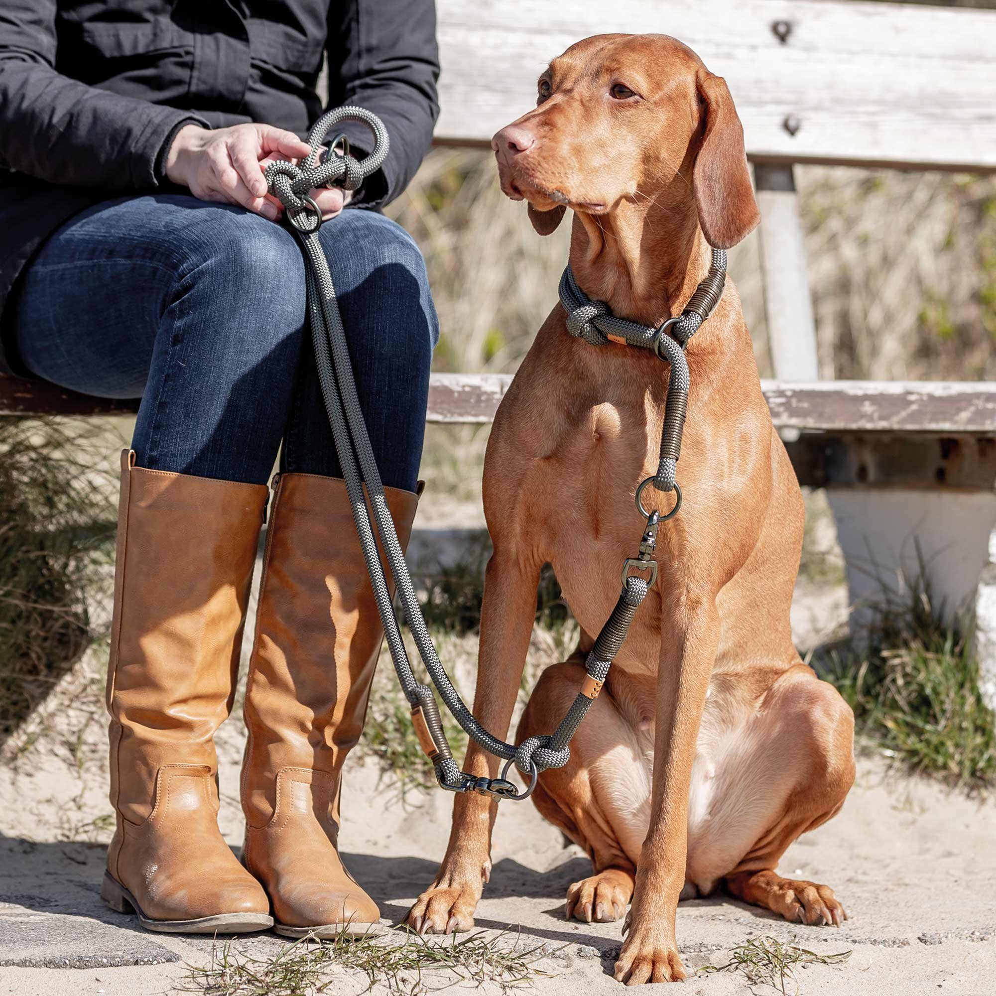 Thumbnail - TRIXIE Hunde-Halsband Zugstopp Hundehalsband BE NORDIC, gewebtem Tau, verschiedene Größen