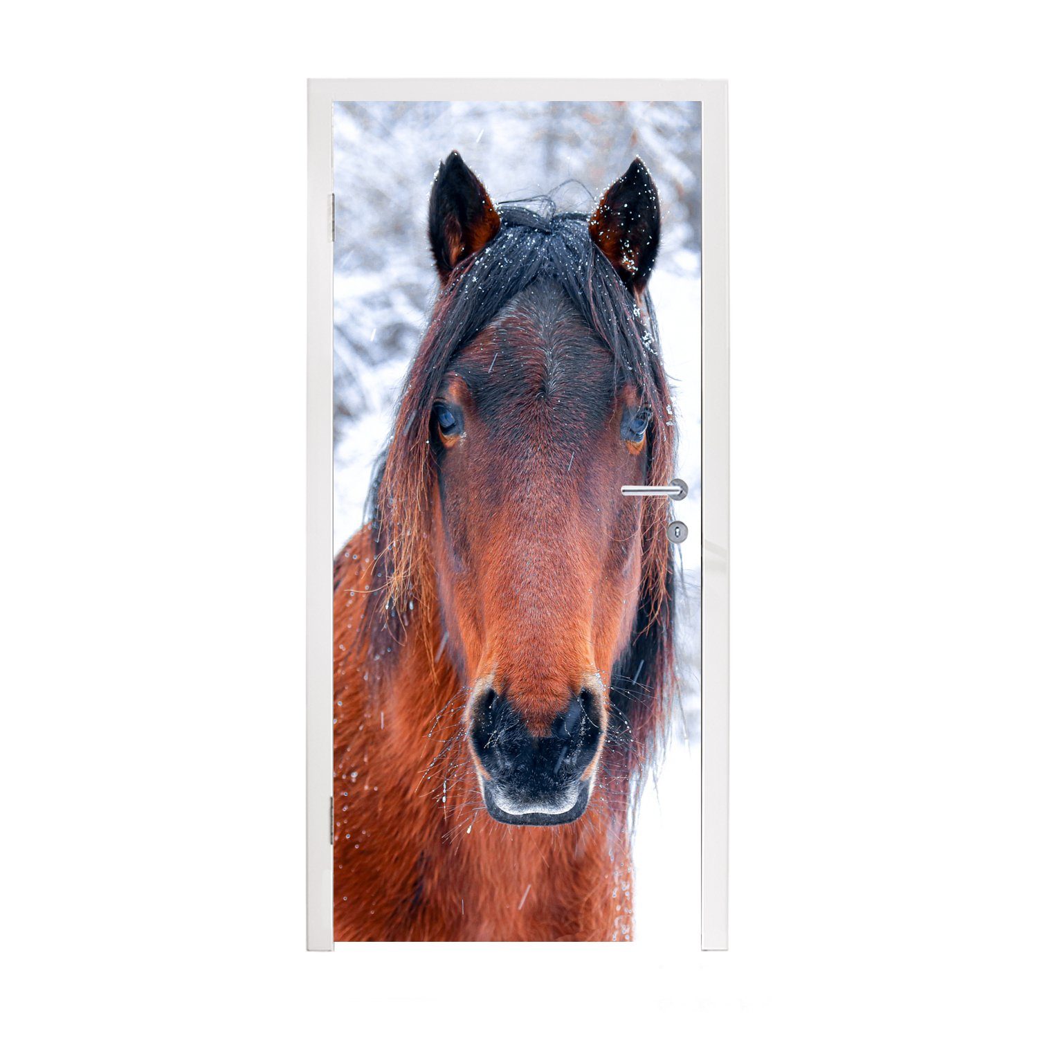 MuchoWow Türtapete Pferd - Winter - Schneeflocke, Matt, bedruckt, (1 St), Fototapete für Tür, Türaufkleber, 75x205 cm