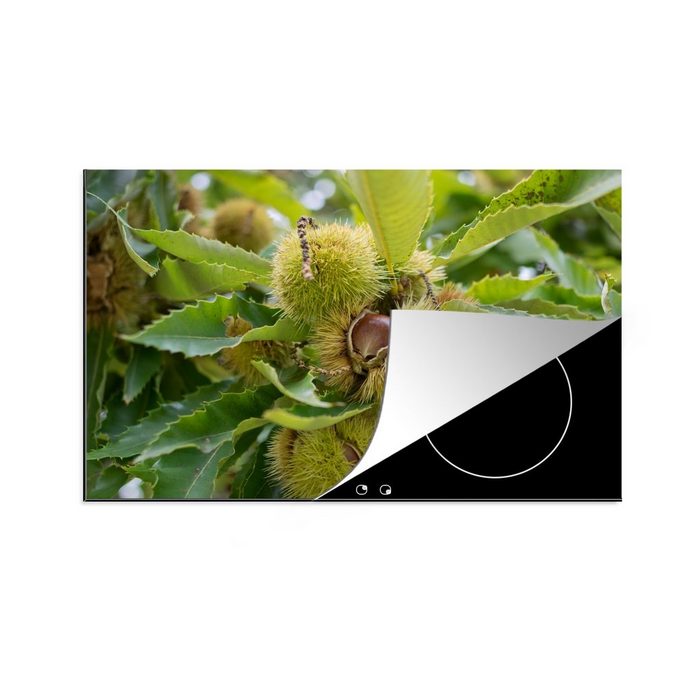 MuchoWow Herdblende-/Abdeckplatte Nahaufnahme von essbaren Edelkastanien im Baum Vinyl (1 tlg) induktionskochfeld Schutz für die küche Ceranfeldabdeckung