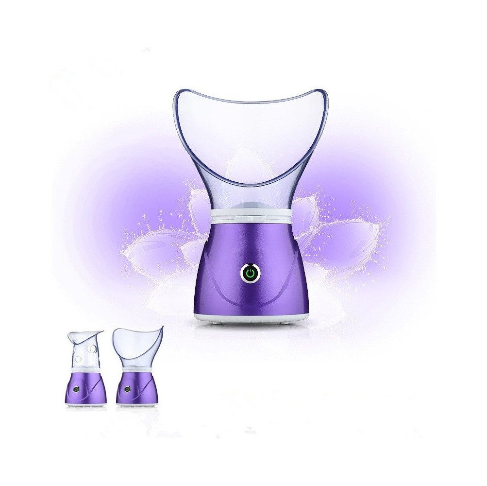 feinlux Gesichtssauna CT1039