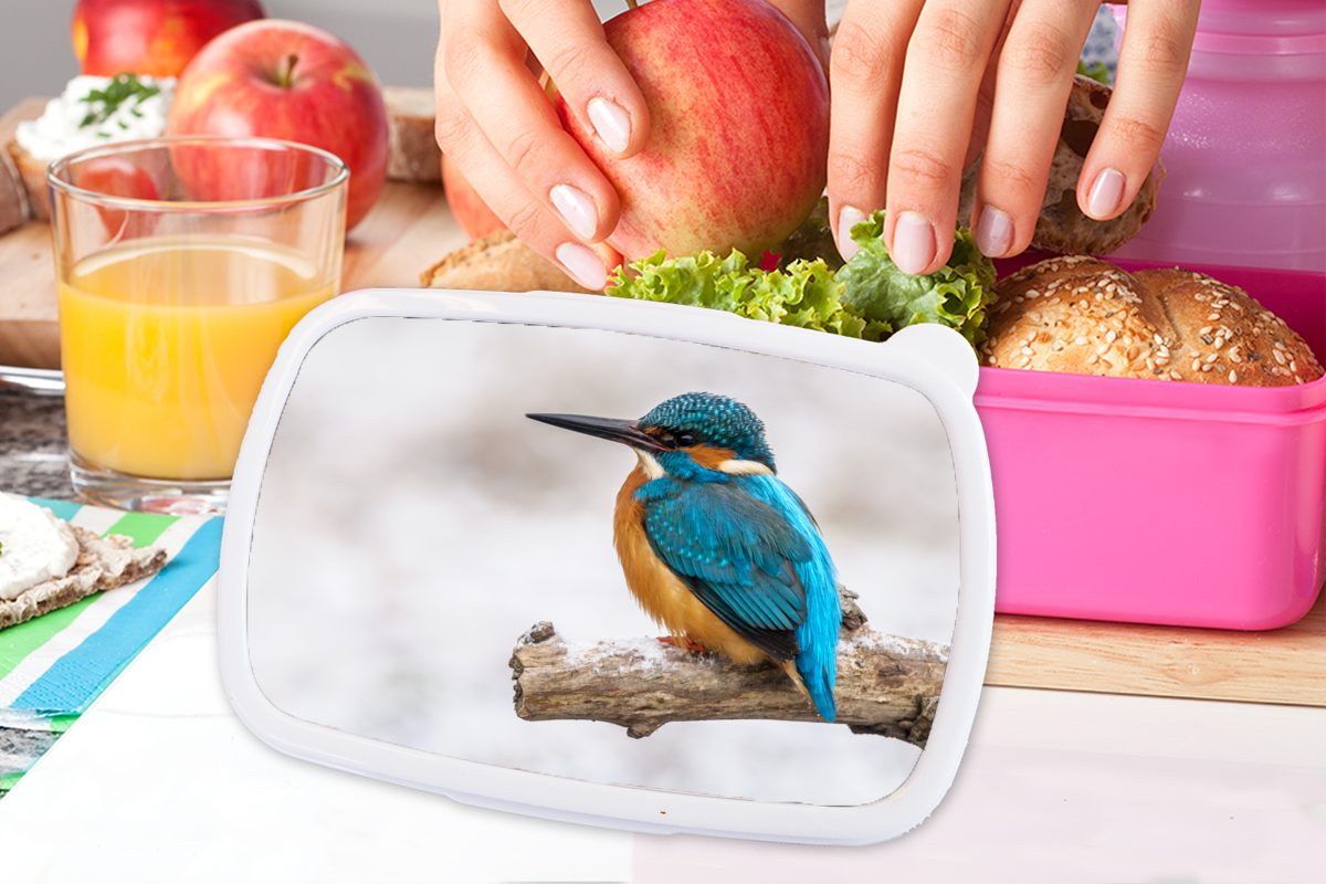 (2-tlg), Lunchbox Kunststoff Erwachsene, Zweige, Eisvogel Kinder, - MuchoWow für Snackbox, rosa Kunststoff, Mädchen, - Brotdose Winter Brotbox