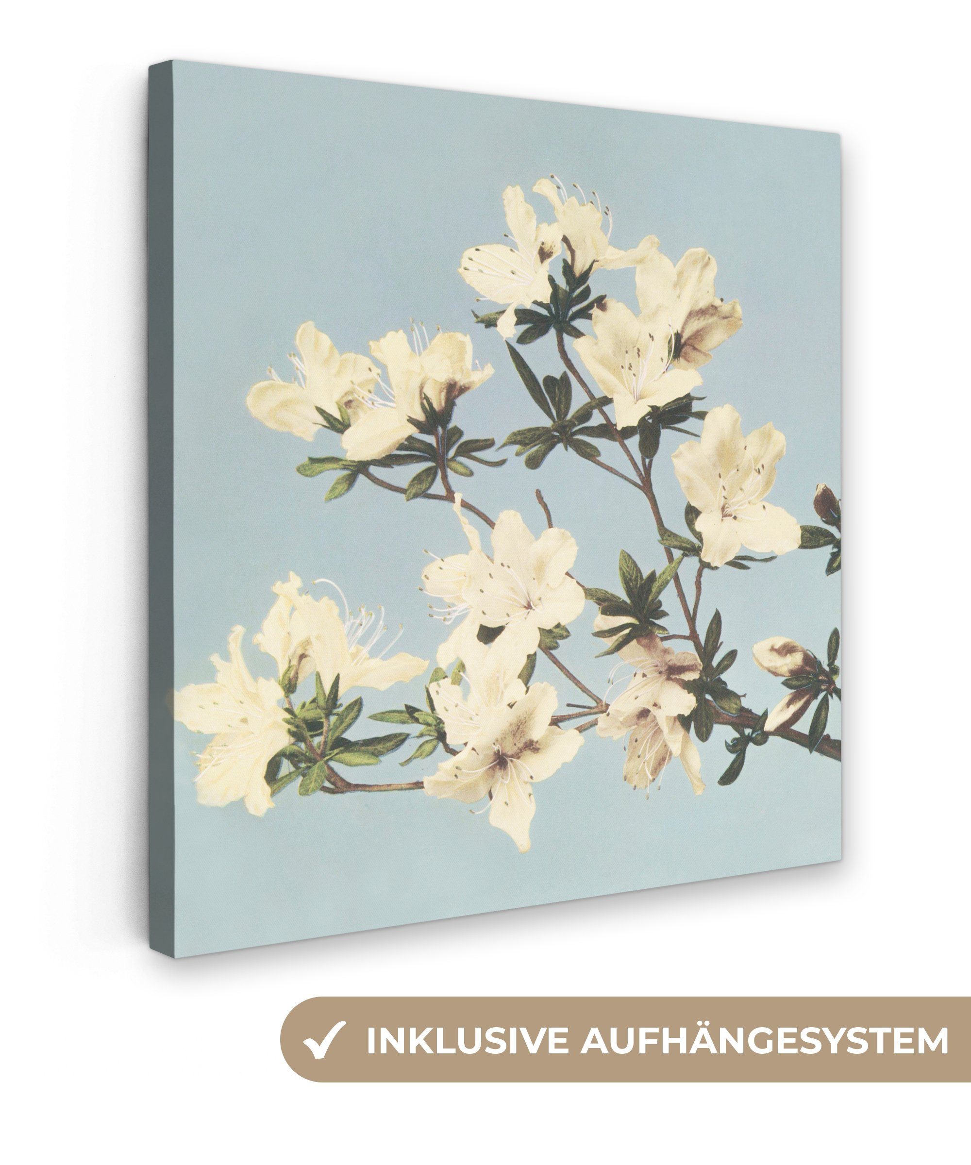 OneMillionCanvasses® Gemälde Vintage - Blumen - Weiß - Natur, (1 St), Leinwand Bilder für Wohnzimmer Schlafzimmer, 20x20 cm