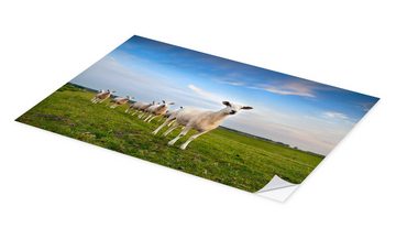 Posterlounge Wandfolie Editors Choice, Schafe auf dem Deich, Fotografie