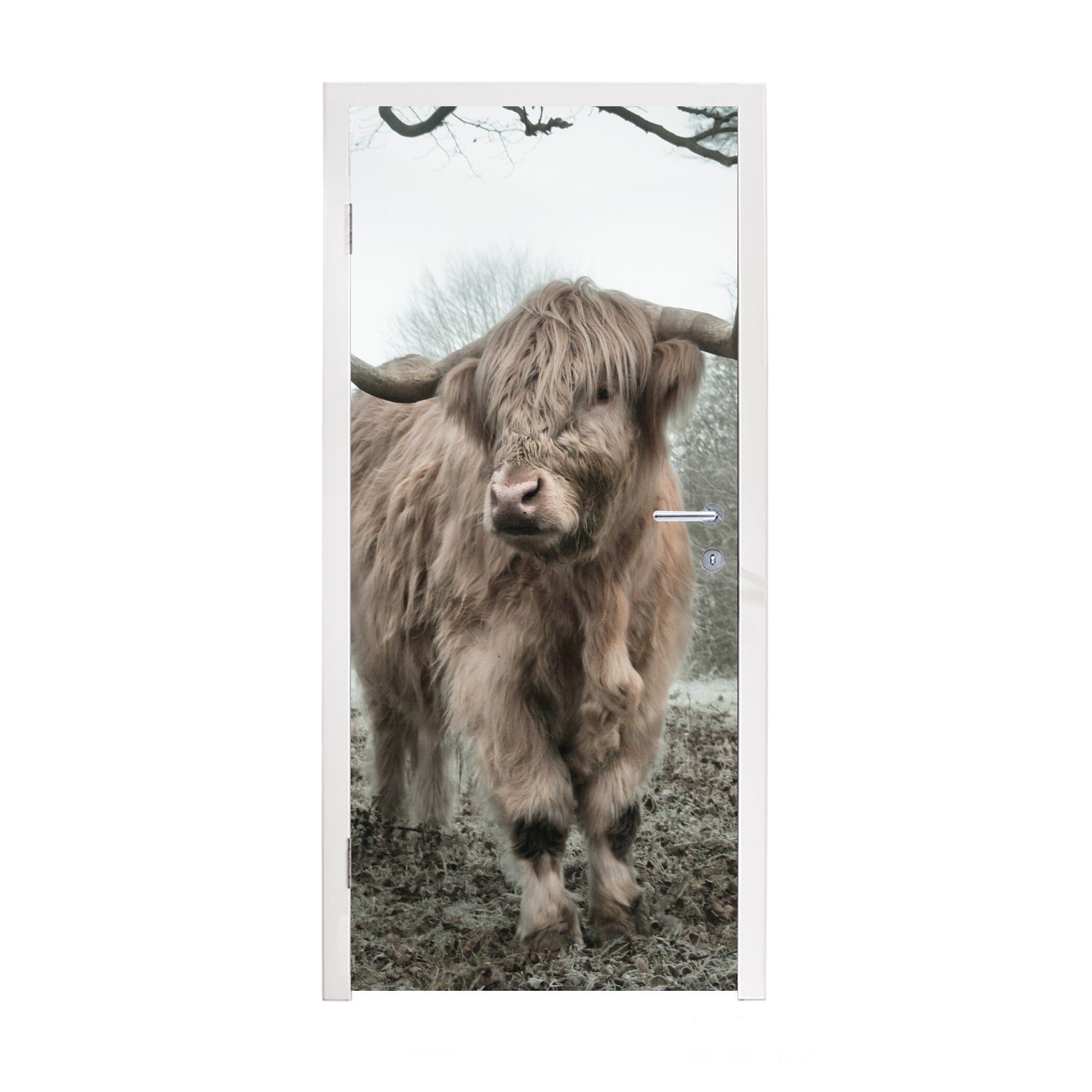 MuchoWow Türtapete Schottische Highlander - Natur - Herbst - Tiere - Wildtiere - Wald, Matt, bedruckt, (1 St), Fototapete für Tür, Türaufkleber, 75x205 cm