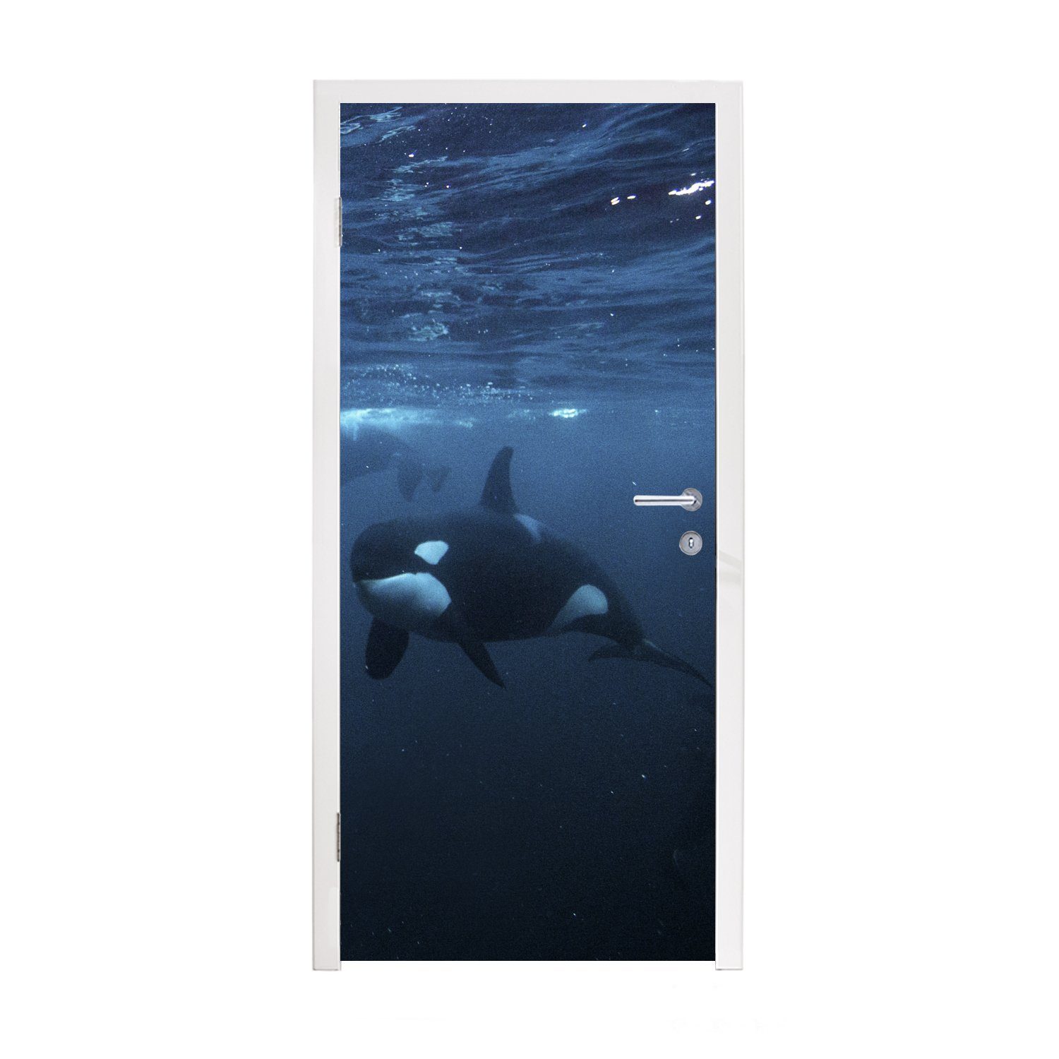 MuchoWow Türtapete Orcas unter Wasser, Matt, bedruckt, (1 St), Fototapete für Tür, Türaufkleber, 75x205 cm