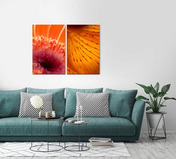 Sinus Art Leinwandbild 2 Bilder je 60x90cm Blumen Blüten Rot Orange Sommer Dekorativ Makrofotografie
