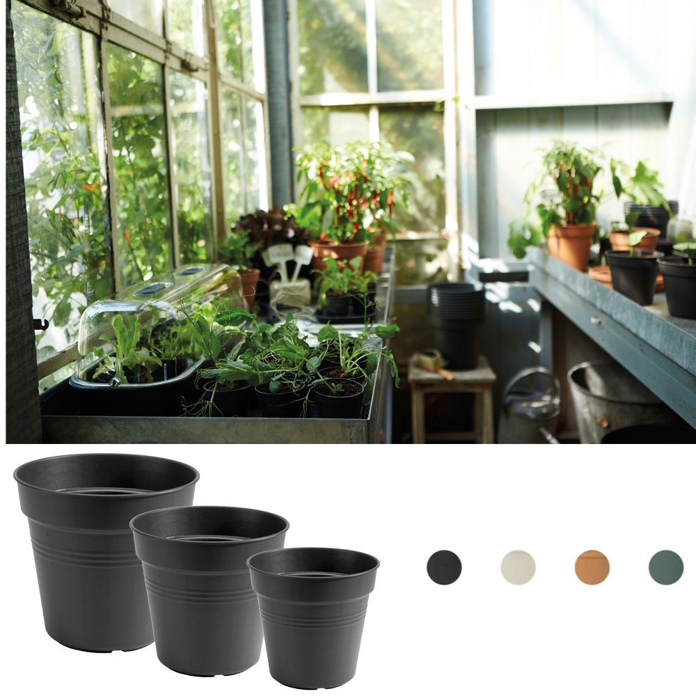 Elho Pflanzkübel farben Green Anzuchttopf Größen und terra Basics verschiedene mild