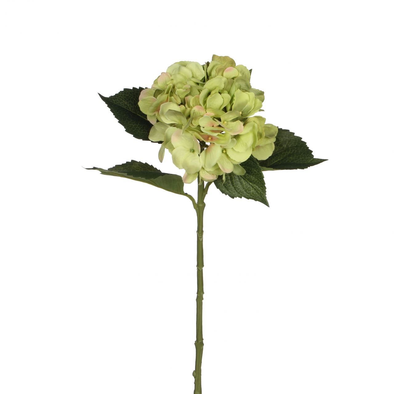 Kunstpflanze Mica künstliche Hortensie grün, 51 cm, Mica Decorations