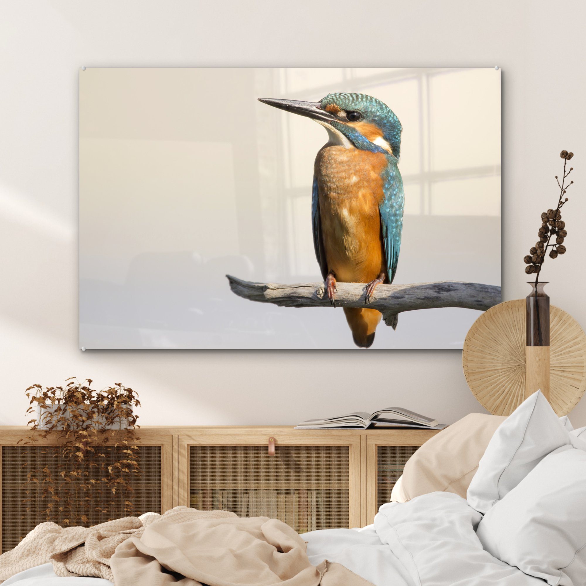Schlafzimmer & Acrylglasbilder Acrylglasbild MuchoWow (1 - - St), Wohnzimmer Zweige Eisvogel Tiere,