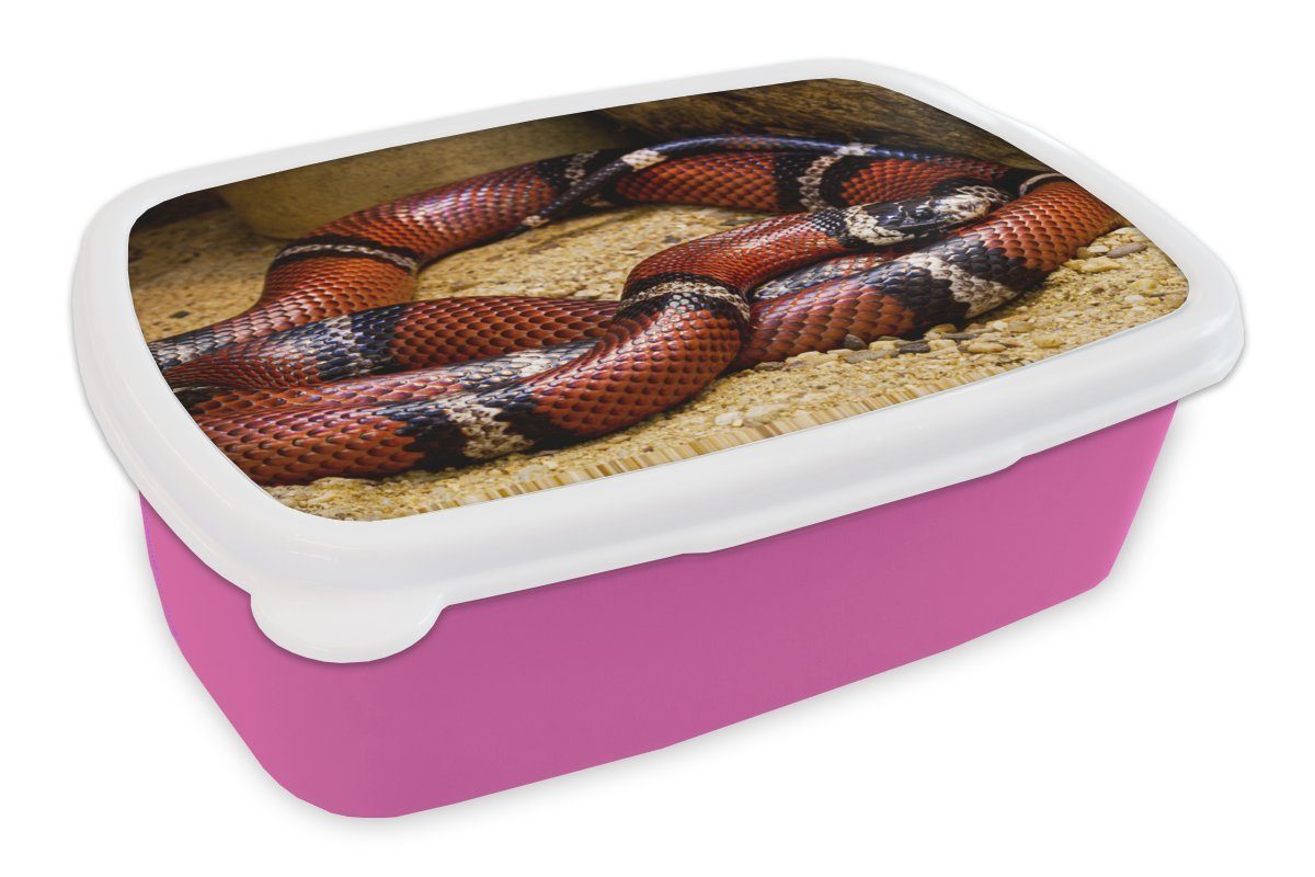 MuchoWow Lunchbox Schlange - Sand - Rot, Kunststoff, (2-tlg), Brotbox für Erwachsene, Brotdose Kinder, Snackbox, Mädchen, Kunststoff rosa